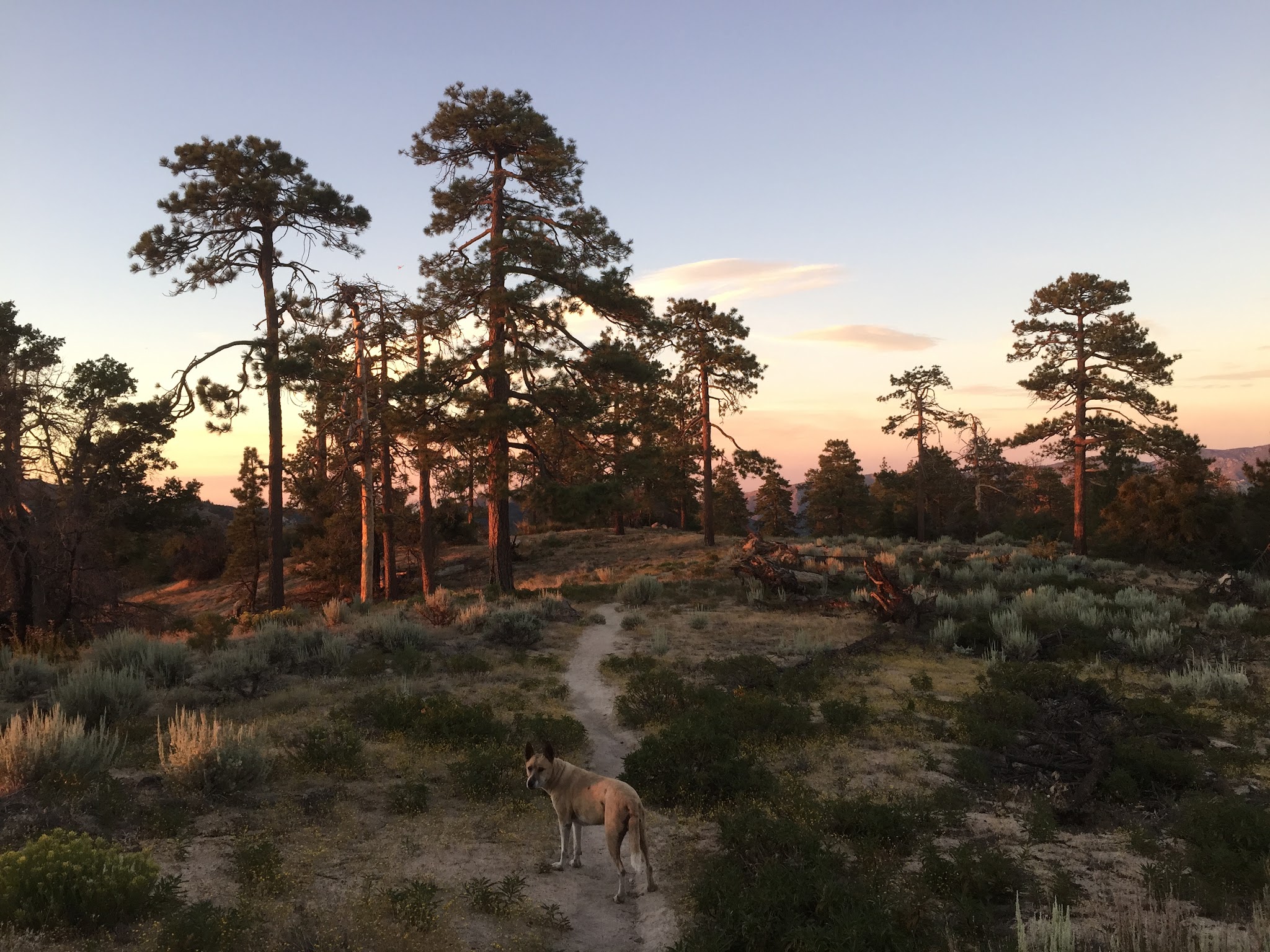Horse Flat Campground