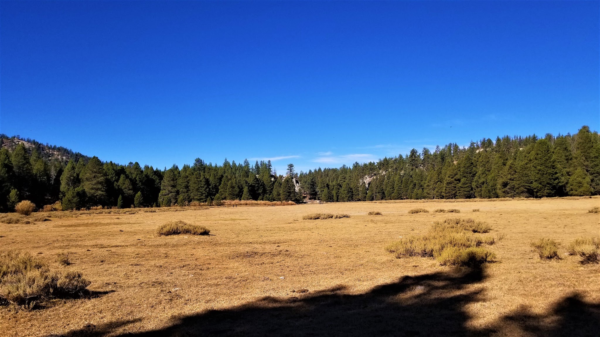 Horse Meadow Campground