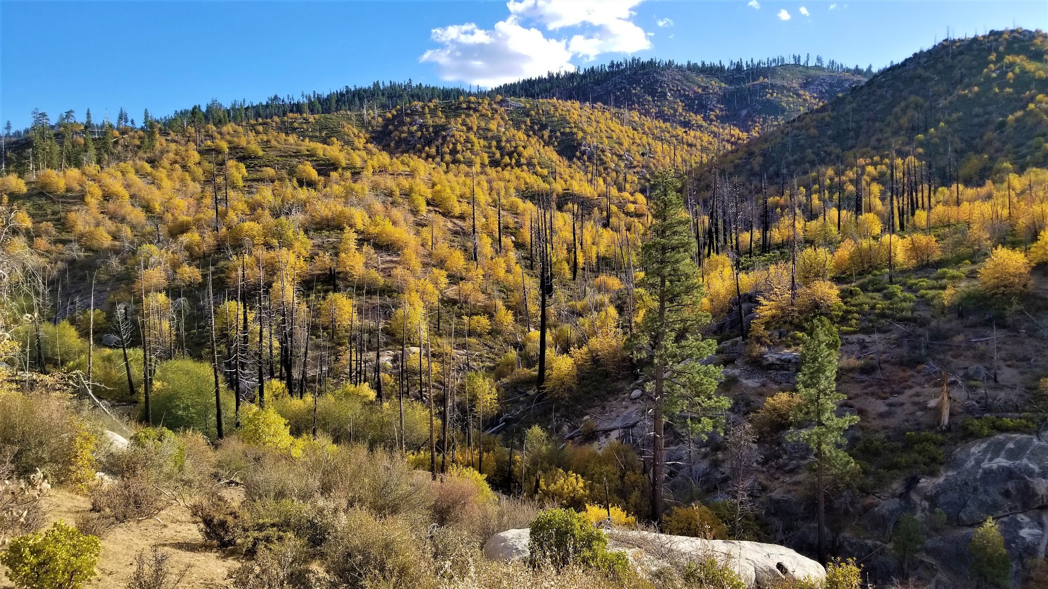 Horse Meadow Campground