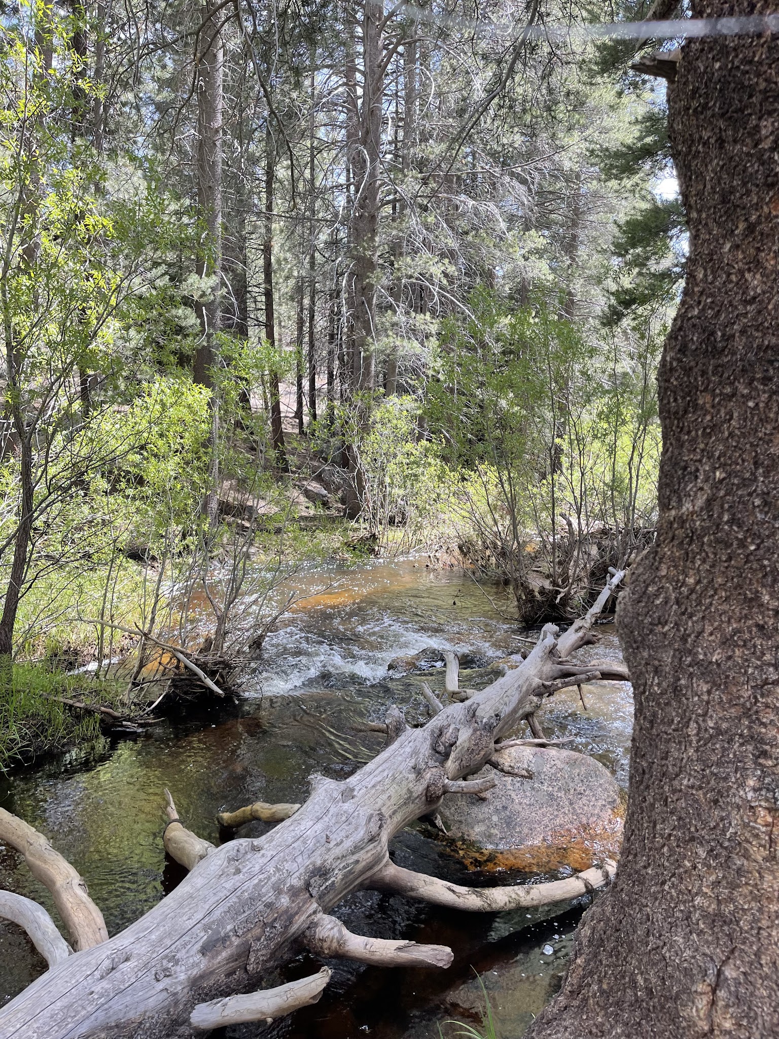 Horse Meadow Campground
