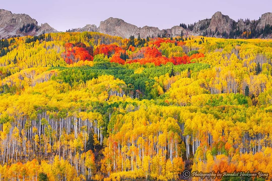 Horse Ranch Park (Dispersed)-Paonia Rd