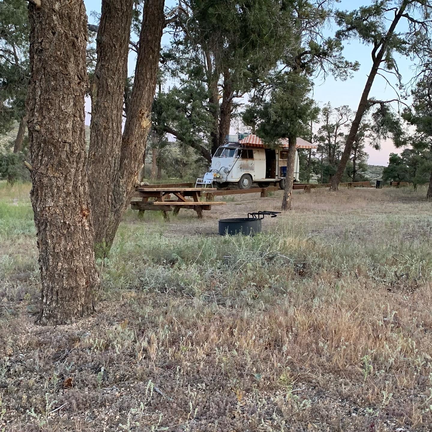 Horse Springs Campground (San Bernardino National Forest)