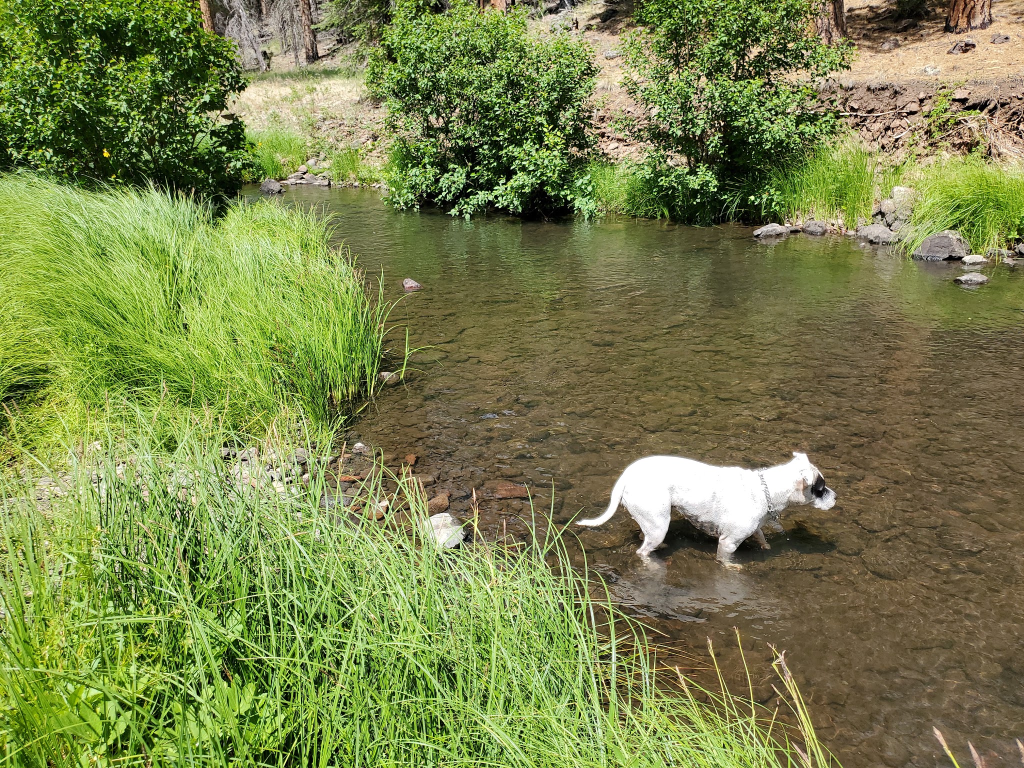 Horse Springs Group Ramada/Campground