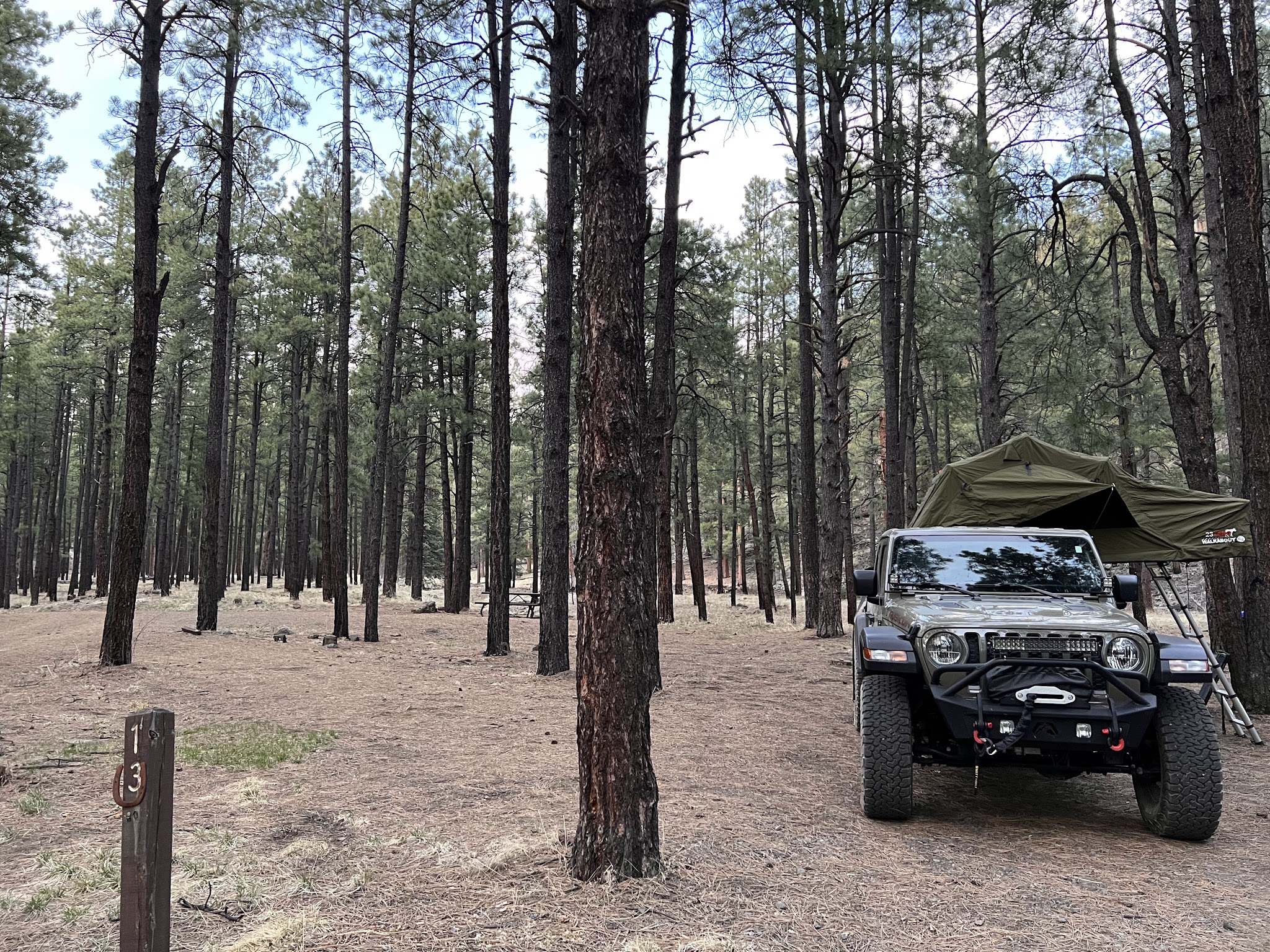 Horse Springs Group Ramada/Campground