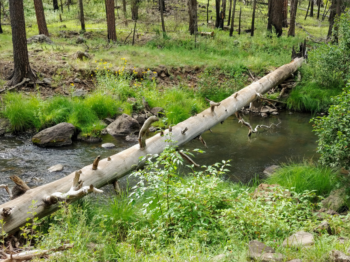 Horse Springs Group Ramada/Campground