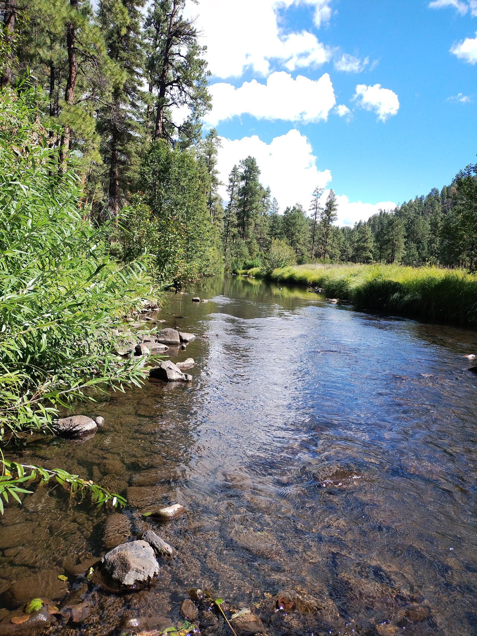 Horse Springs Group Ramada/Campground