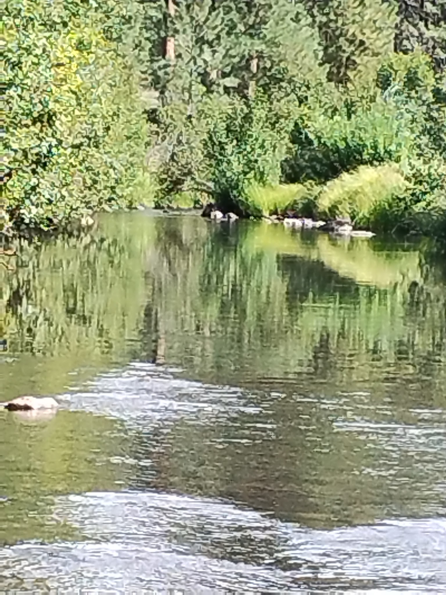 Horse Springs Group Ramada/Campground