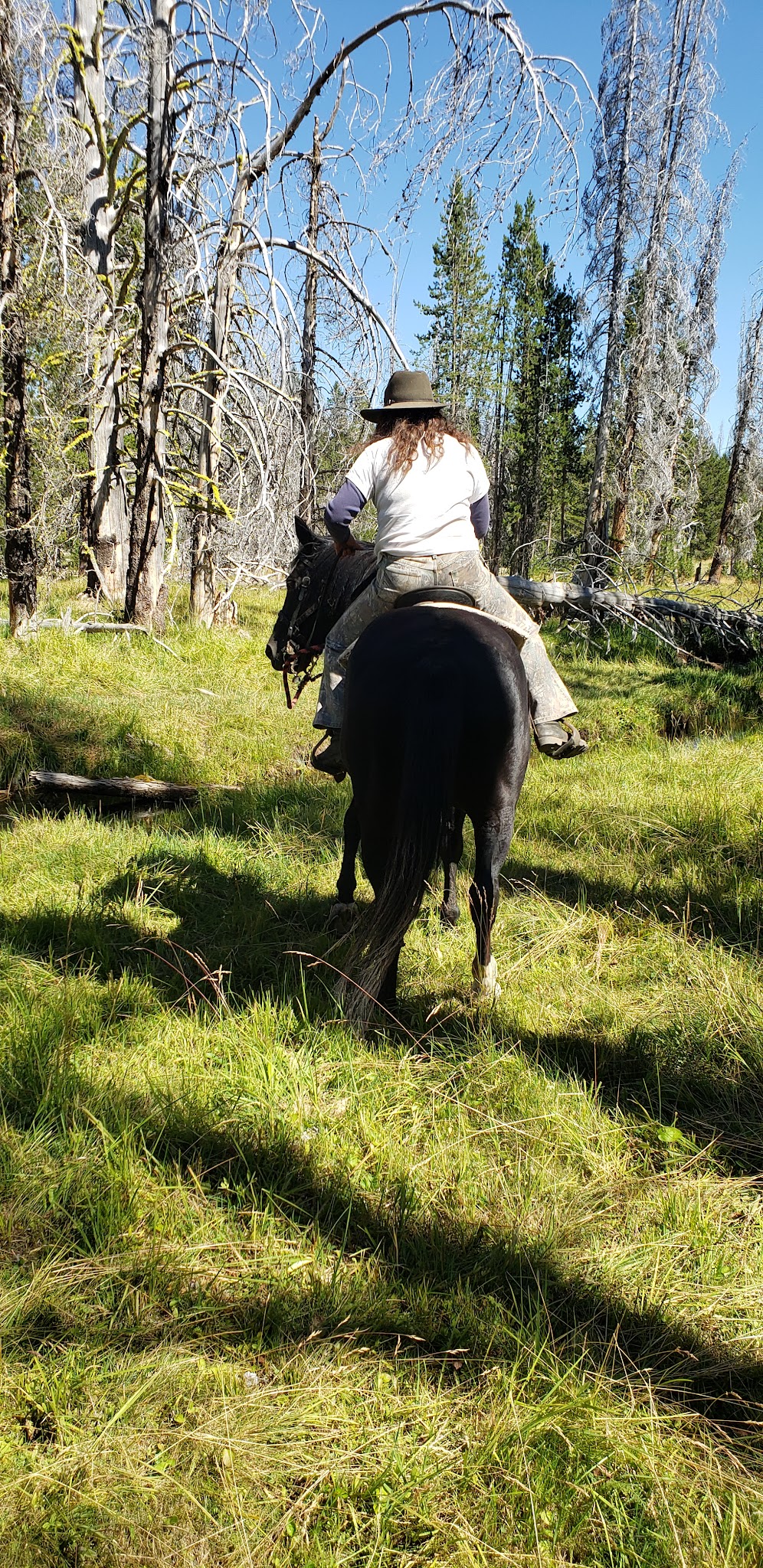 Corral Creek Campground