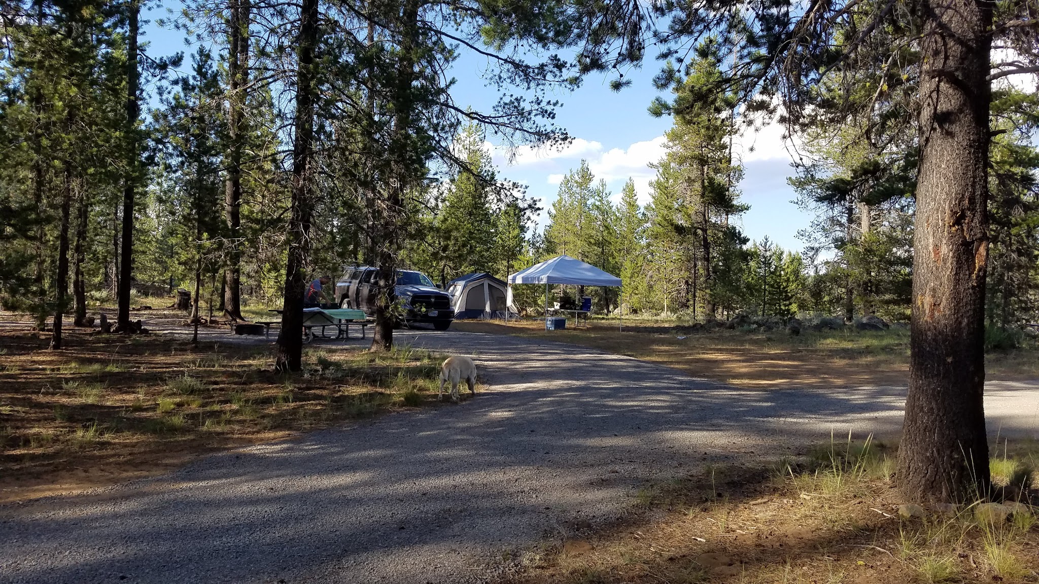 Horseglade Campground And Trailhead
