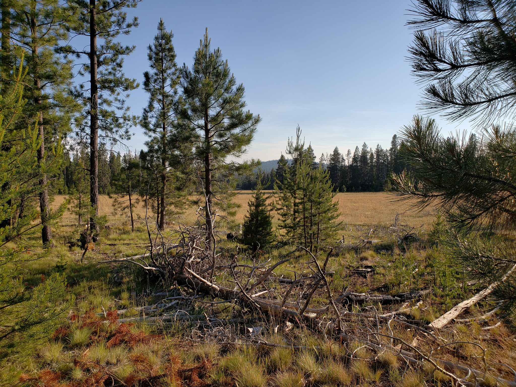 Horseglade Campground And Trailhead