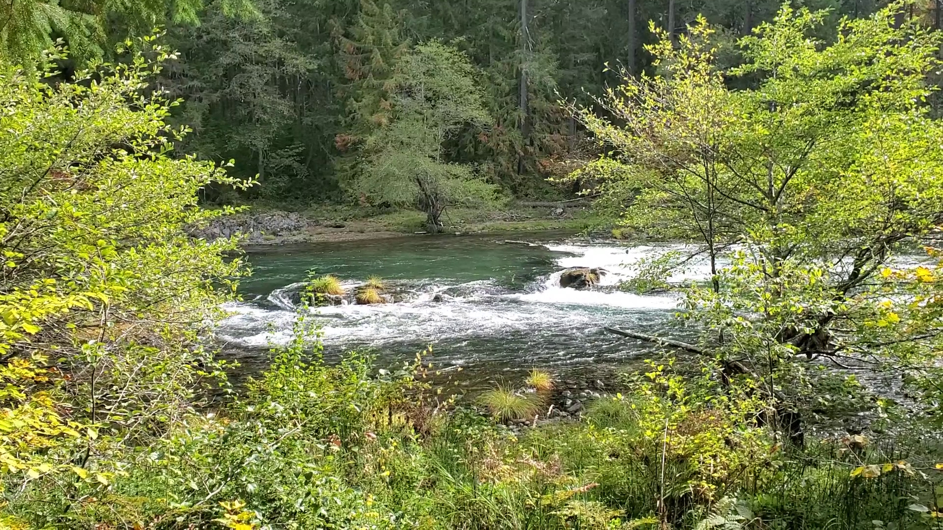 Horseshoe Bend Campground (Or)