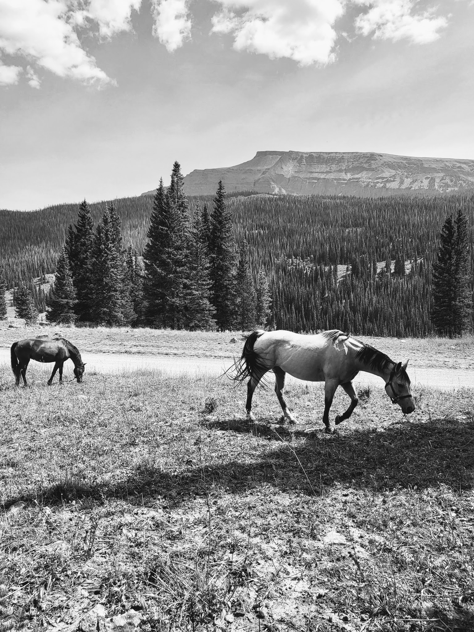 Horseshoe Campground