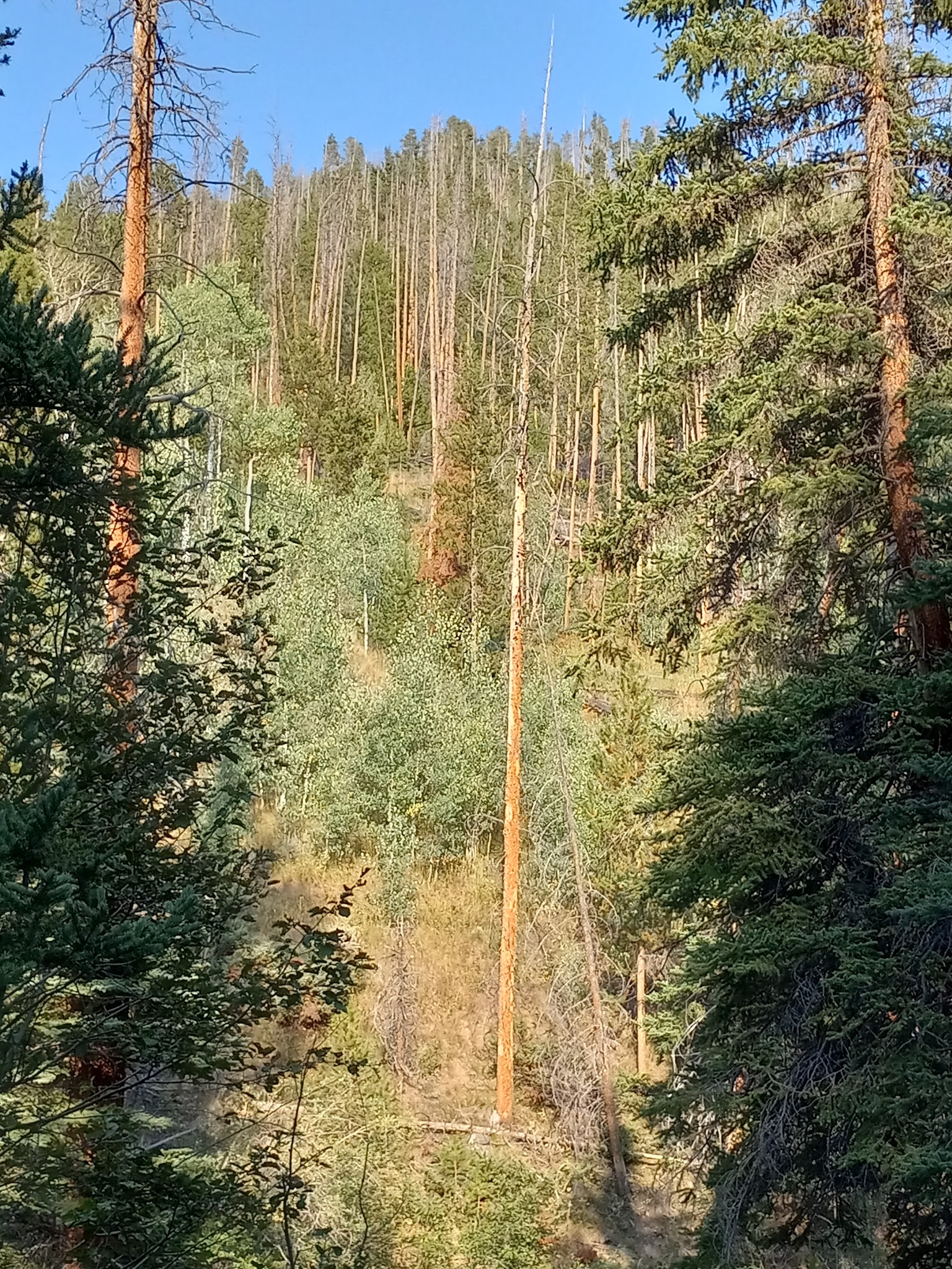 Horseshoe Campground