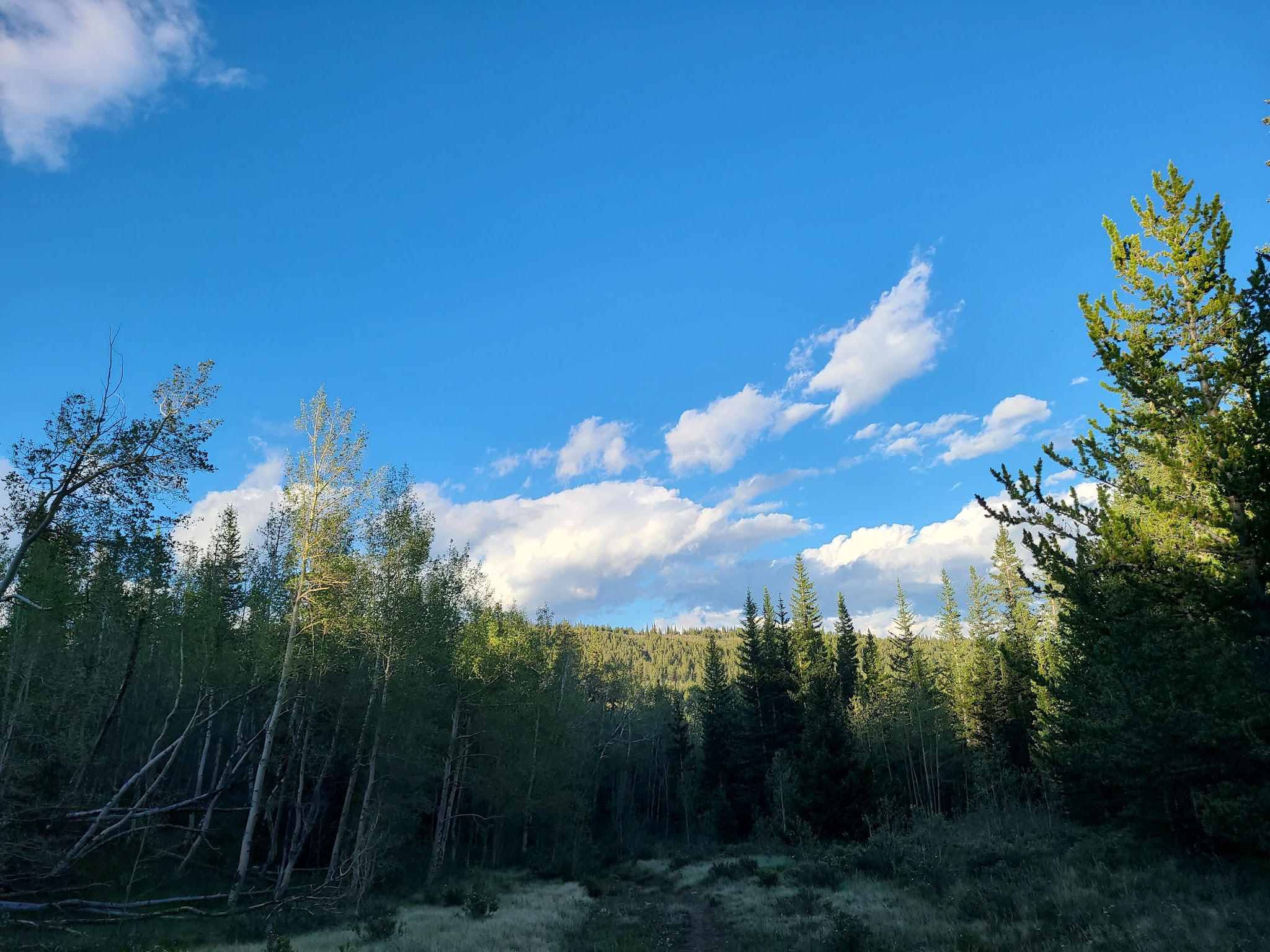 Horseshoe Campground
