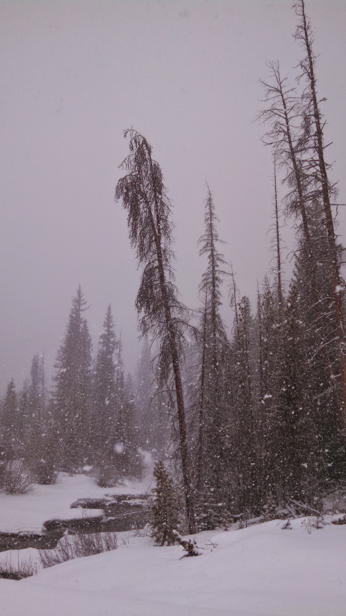 Horseshoe Campground