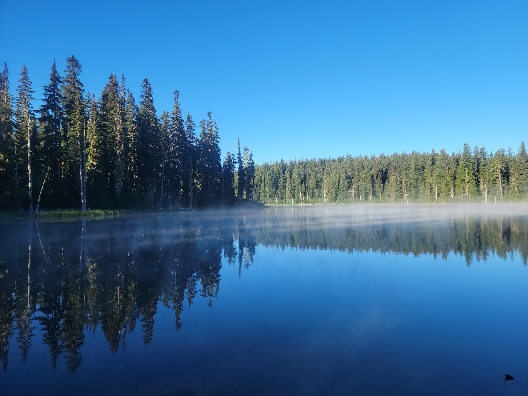 Campground: Horseshoe Lake