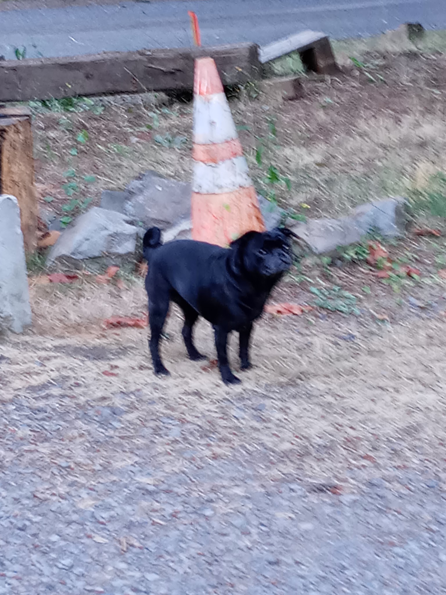 Horseshoe Lake (Olallie Lake) Campground
