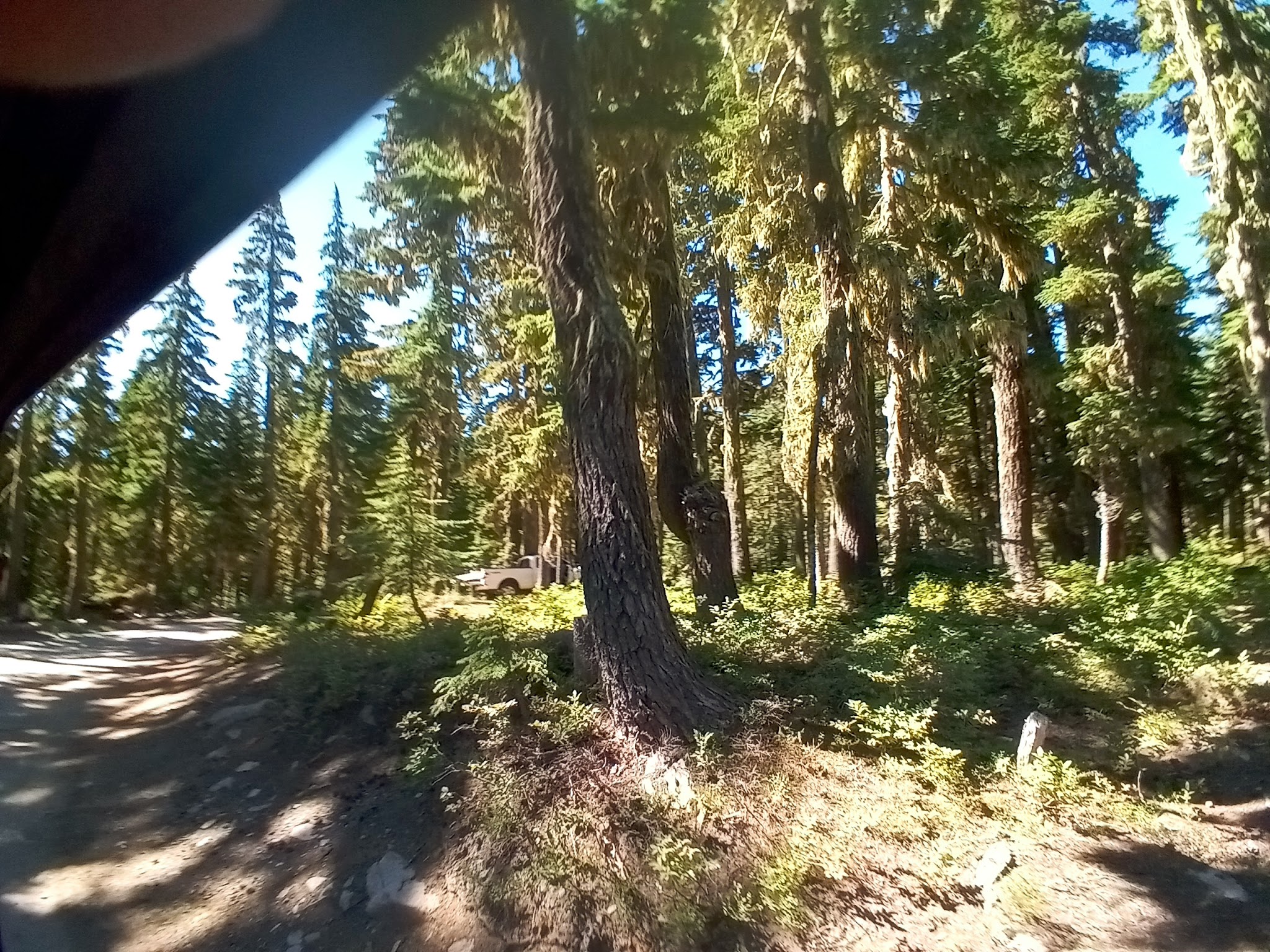Horseshoe Lake (Olallie Lake) Campground