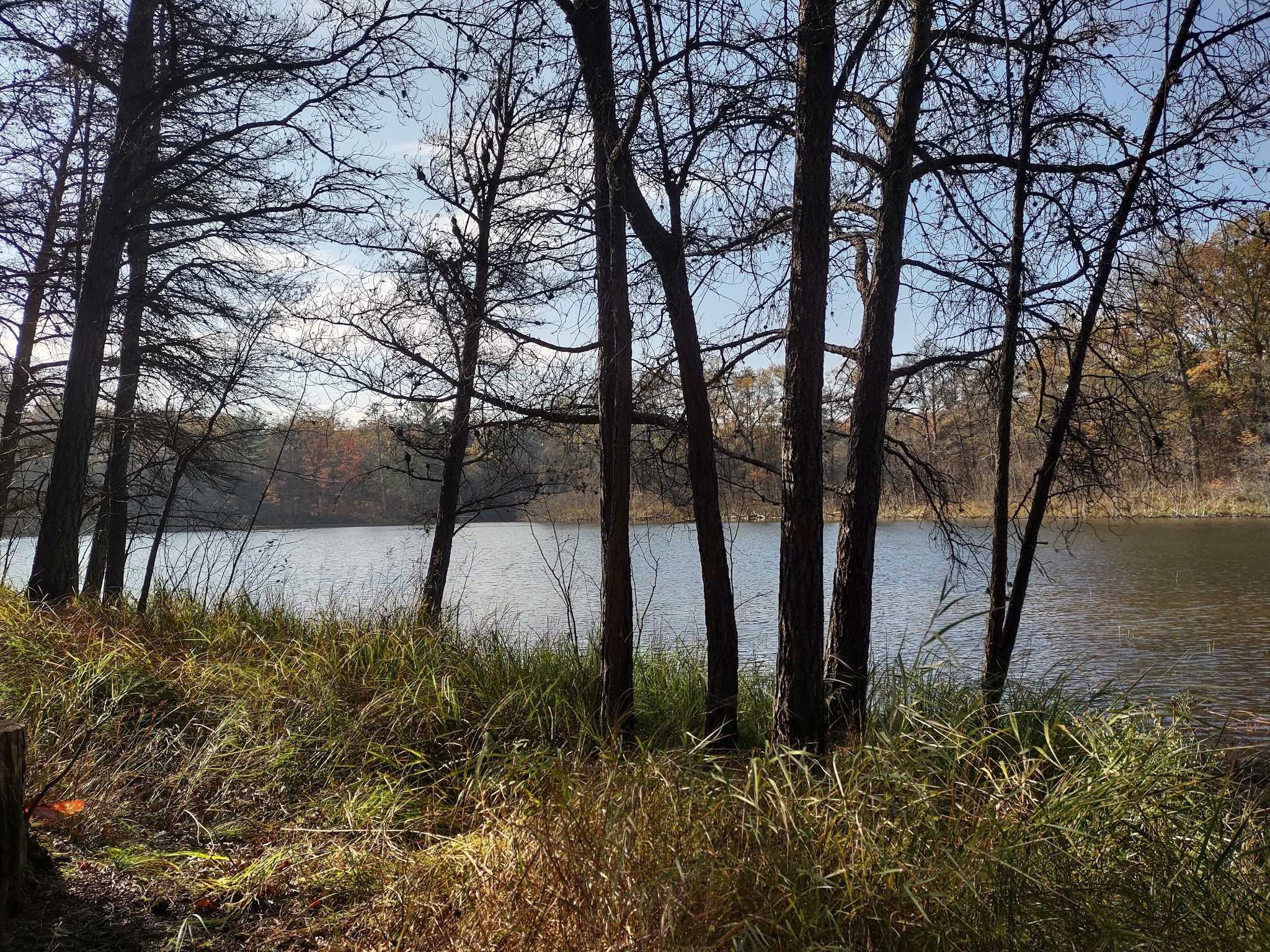 Horseshoe Lake Campground And Boat Launch