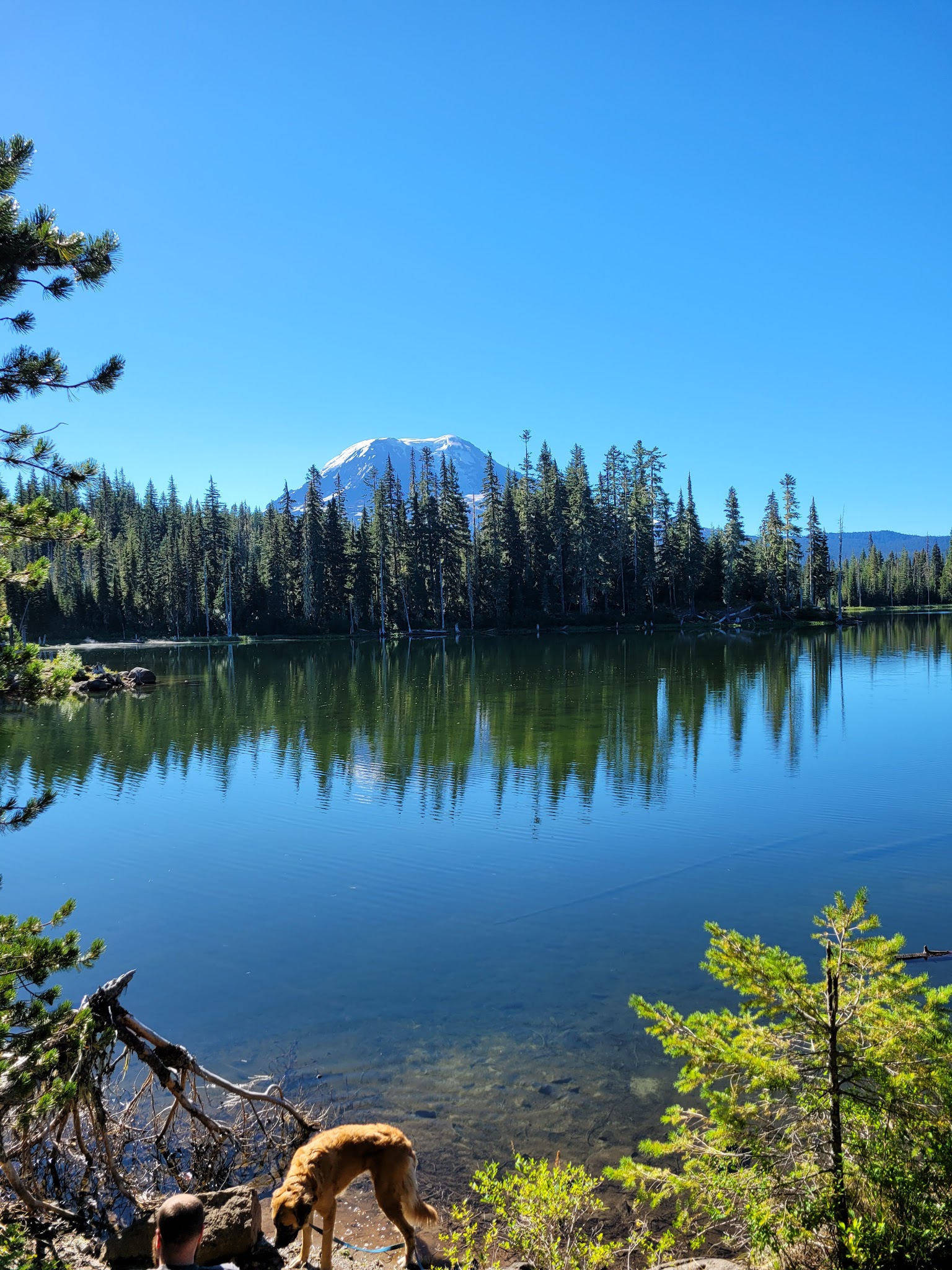 Campground: Horseshoe Lake