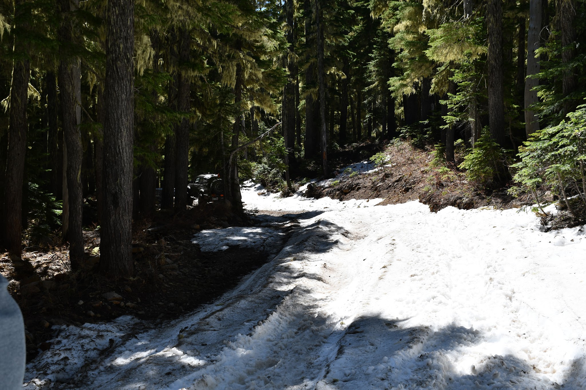 Horseshoe Lake (Olallie Lake) Campground
