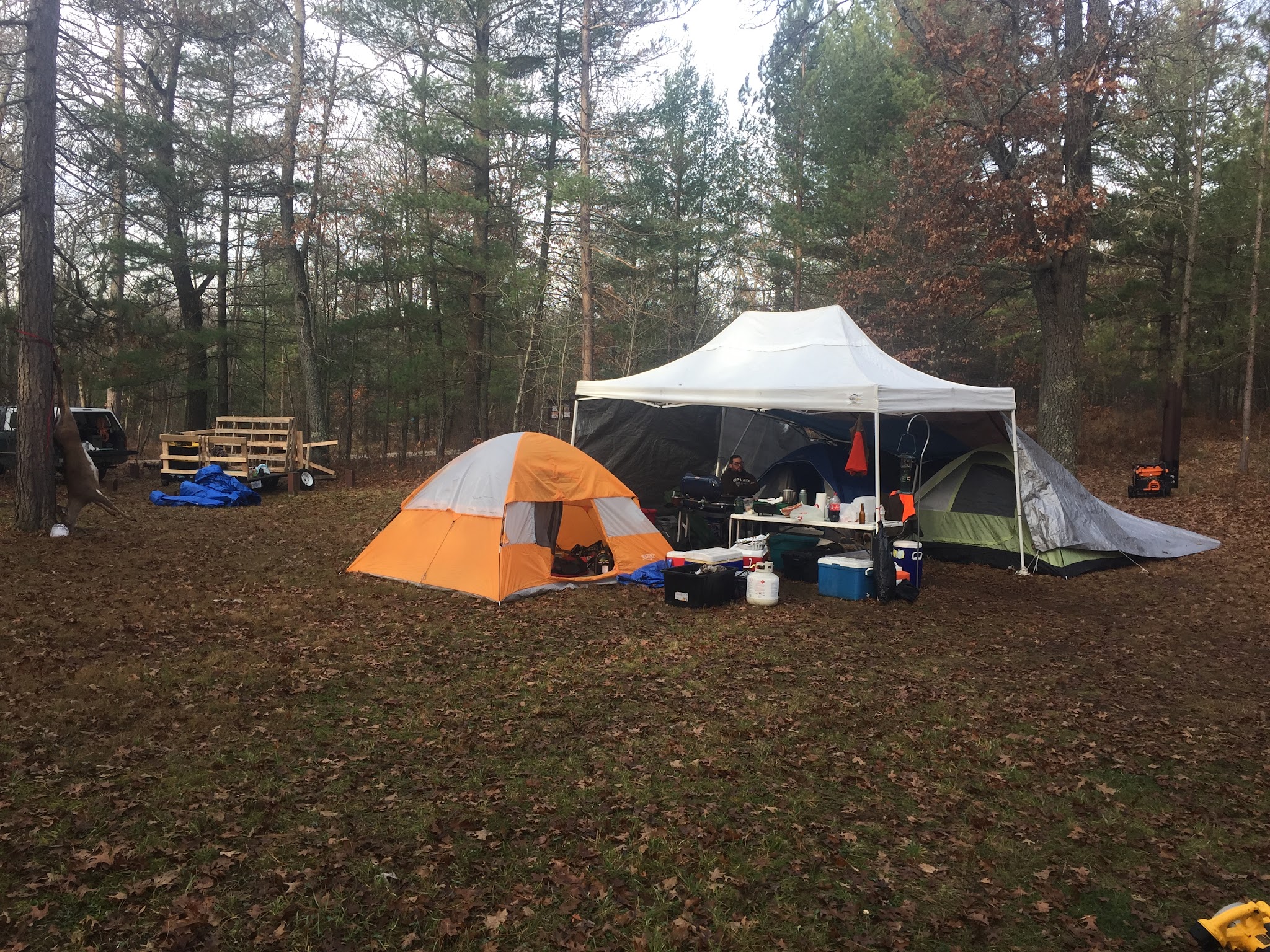 Horseshoe Lake Campground And Boat Launch