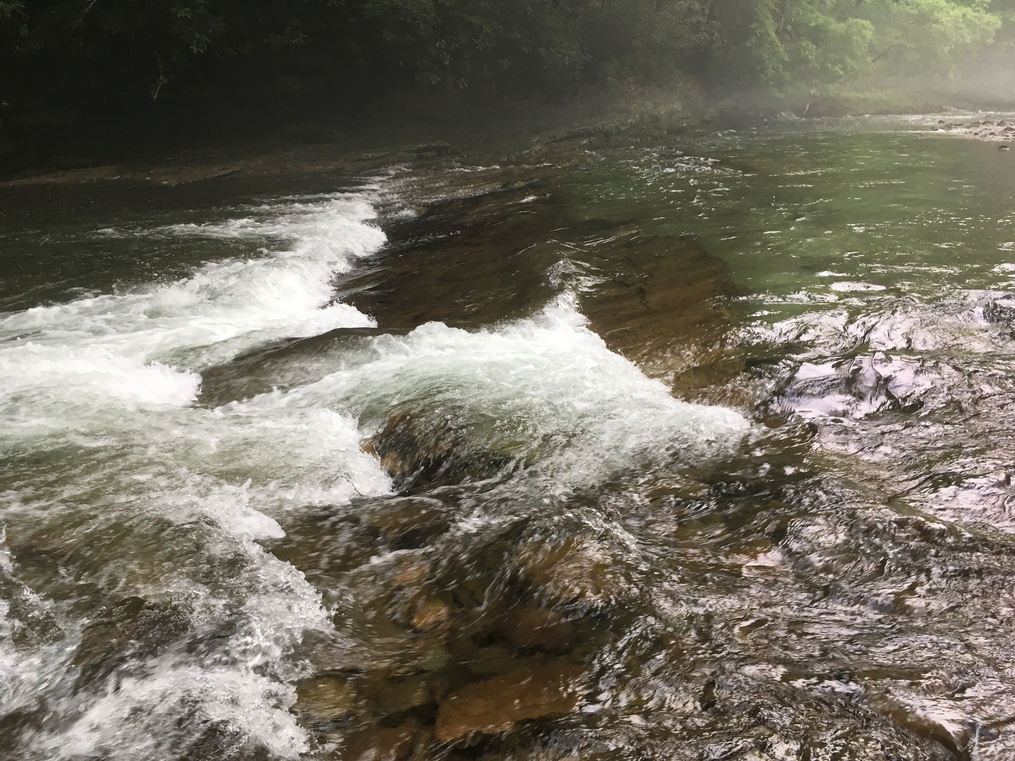 Horseshoe Recreation Area