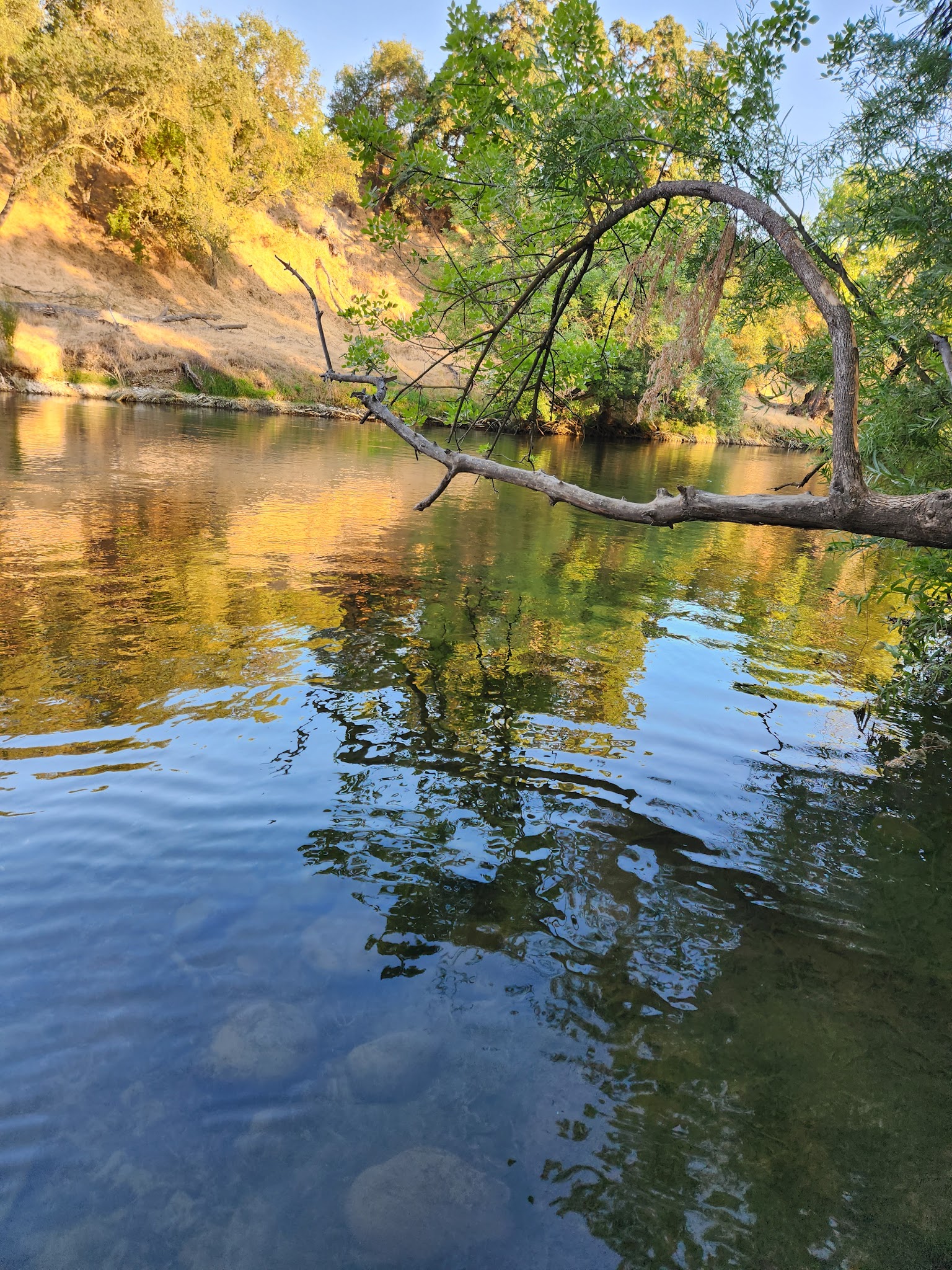 Horseshoe Road Recreation Area