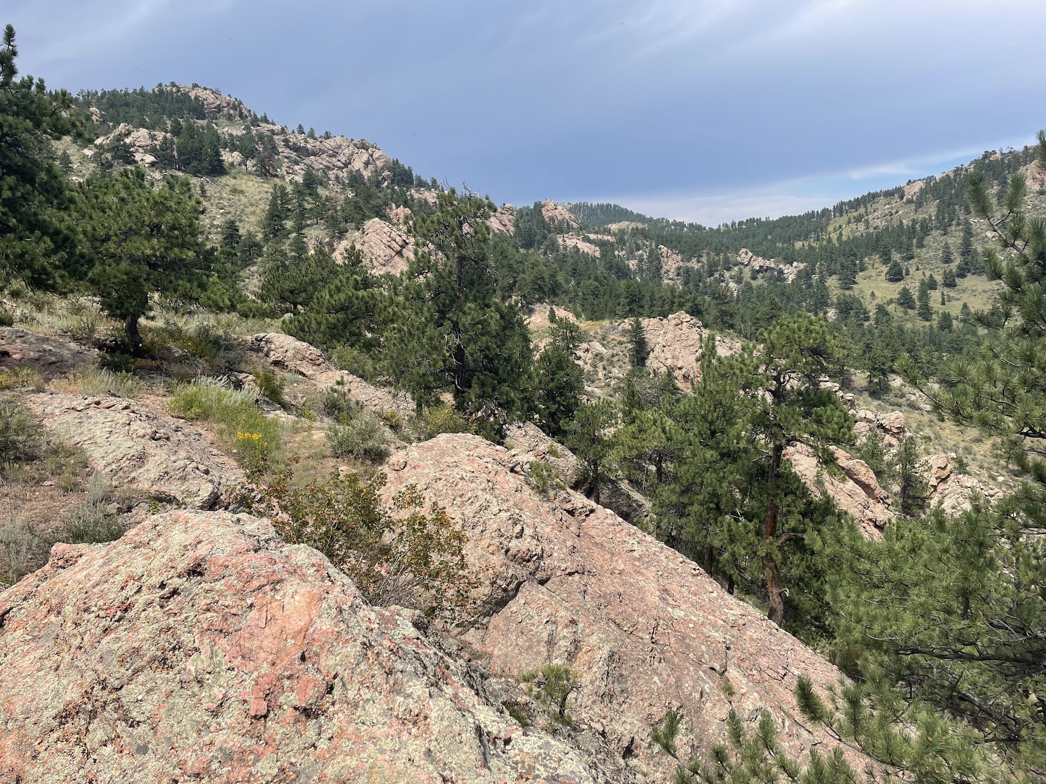 Horsetooth Mountain Open Space Backcountry