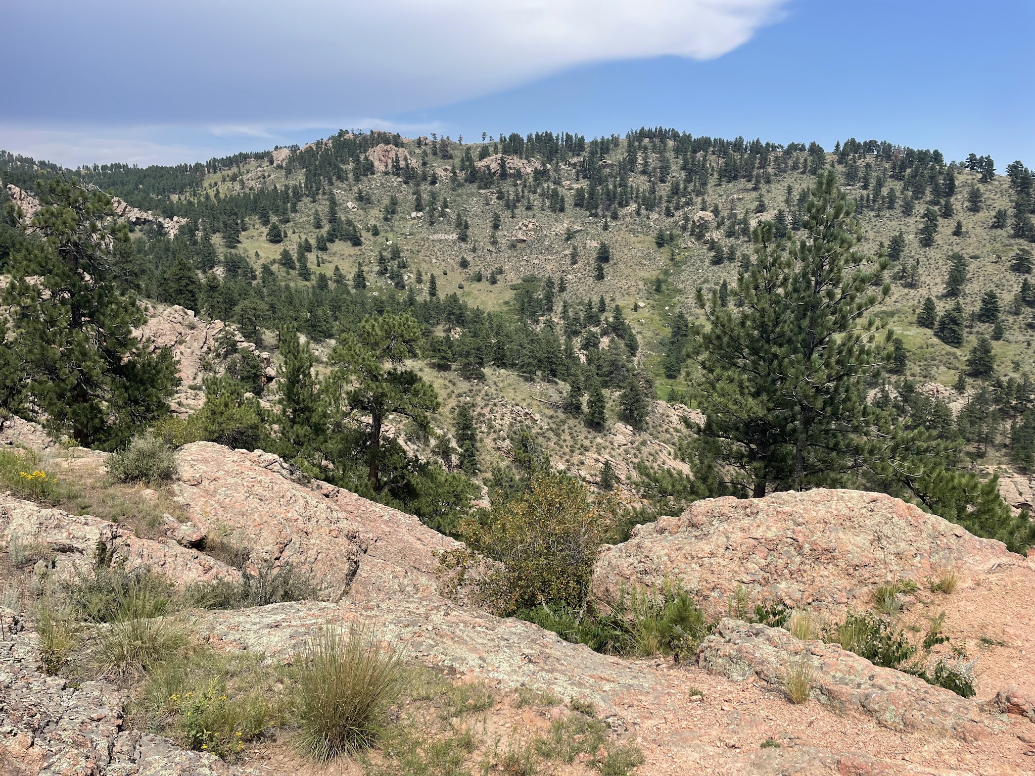 Horsetooth Mountain Open Space Backcountry