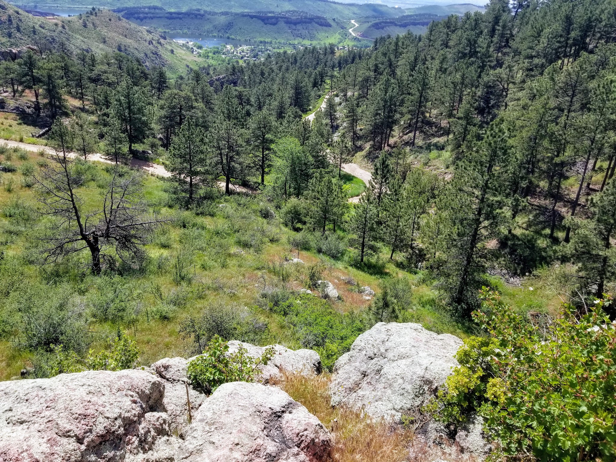 Horsetooth Mountain Open Space Backcountry