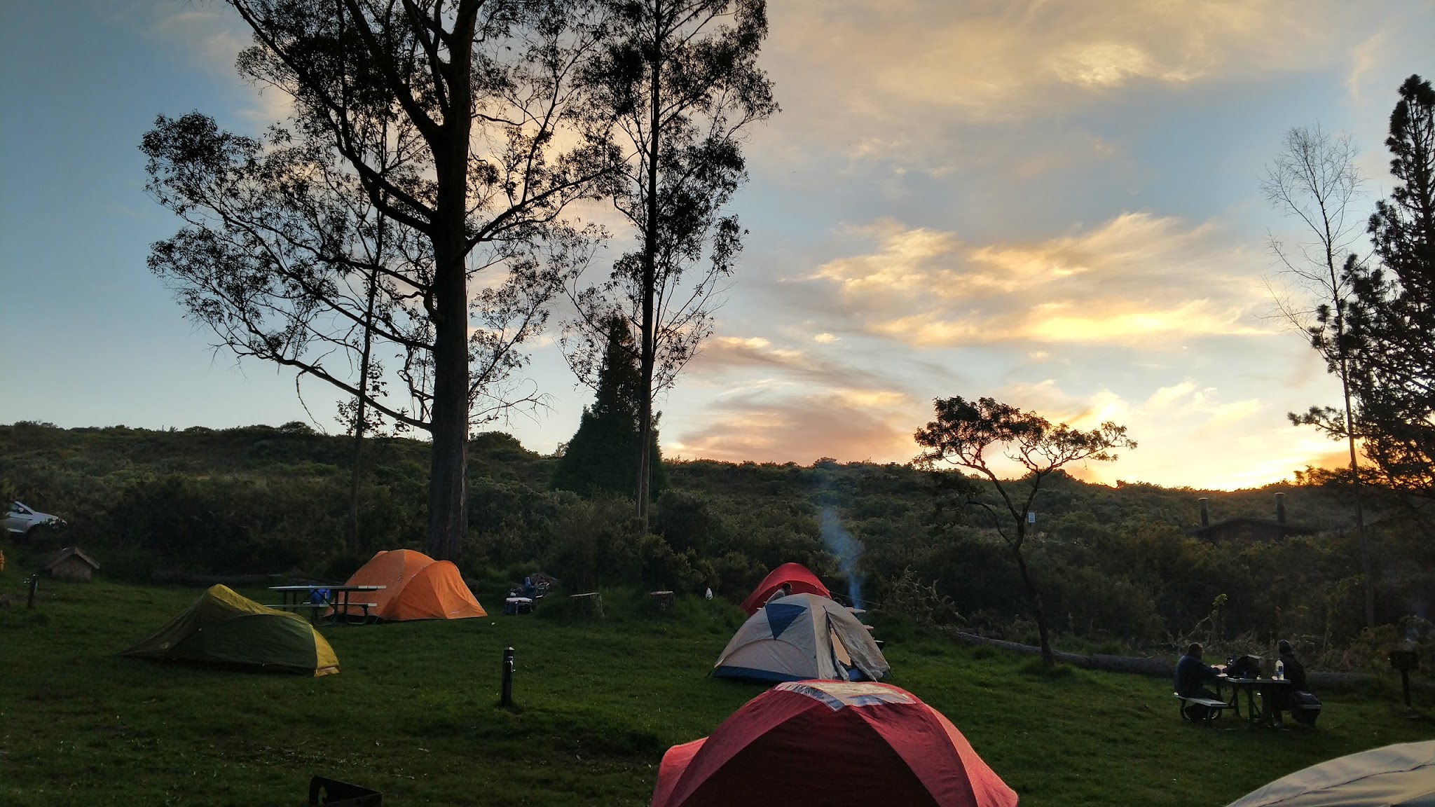 Hosmer Grove Campground