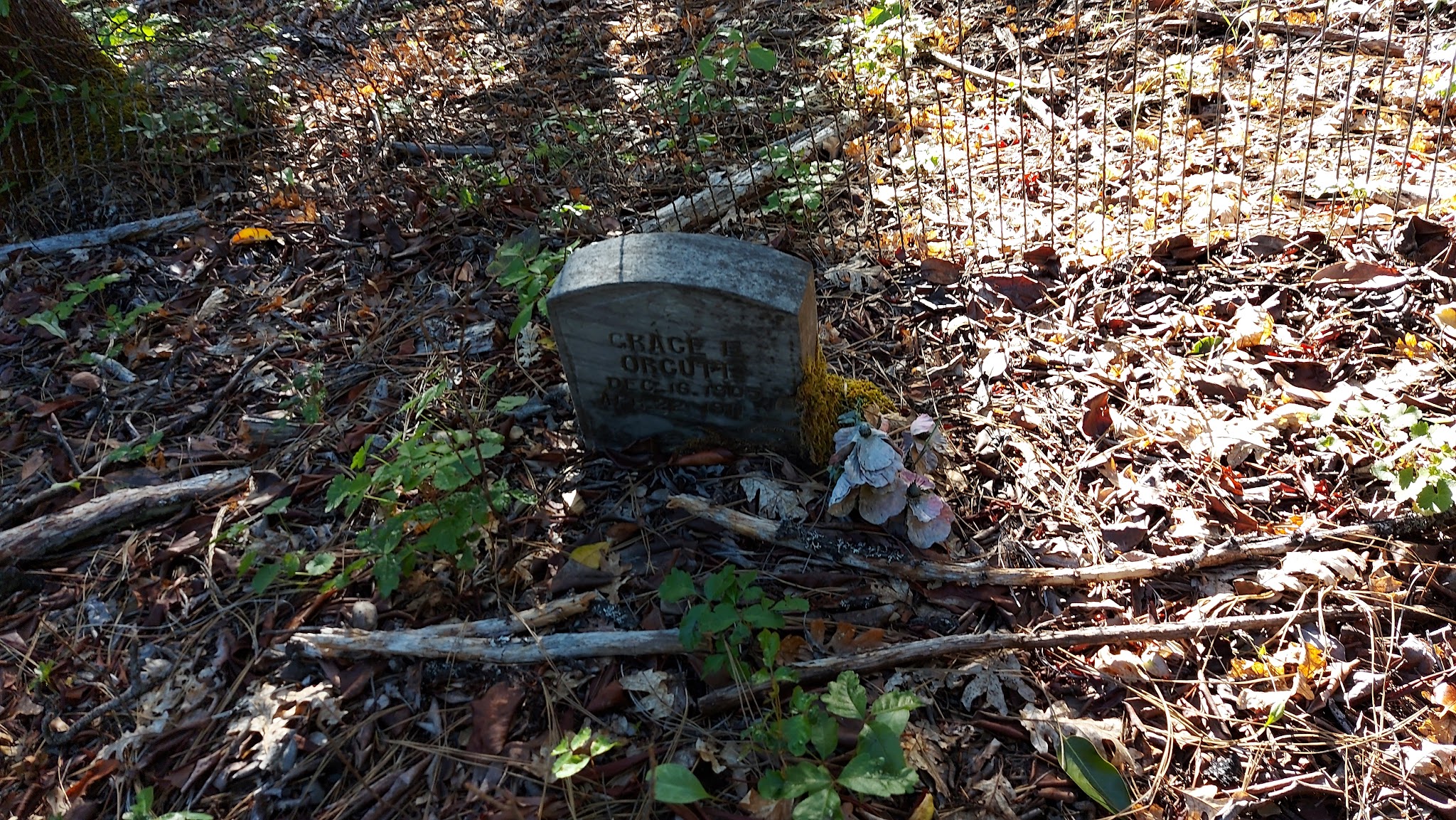 Hotelling Campground