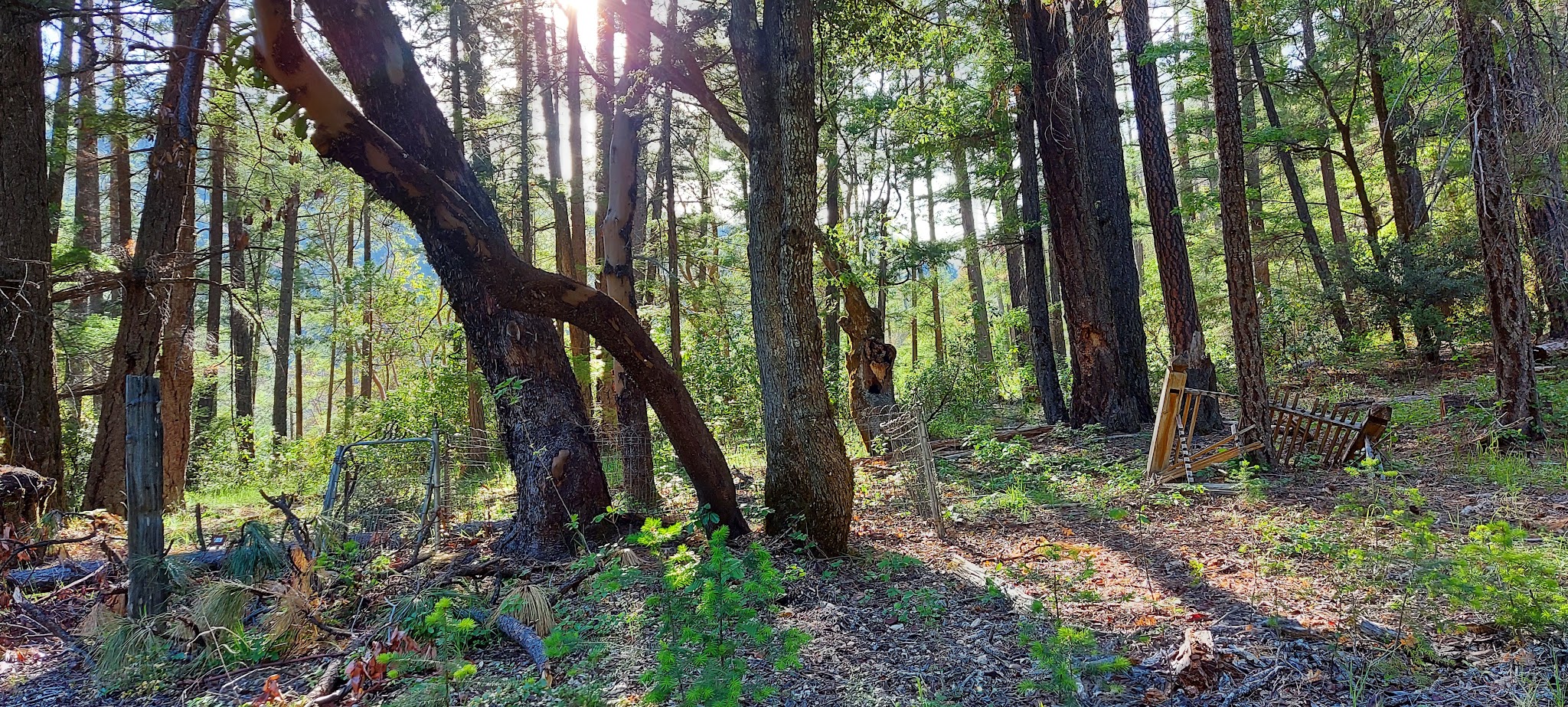 Hotelling Campground