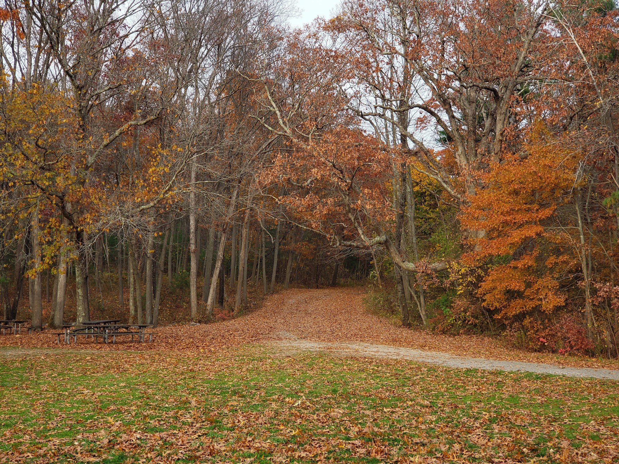 Houghton&Apos;S Pond Recreation Area