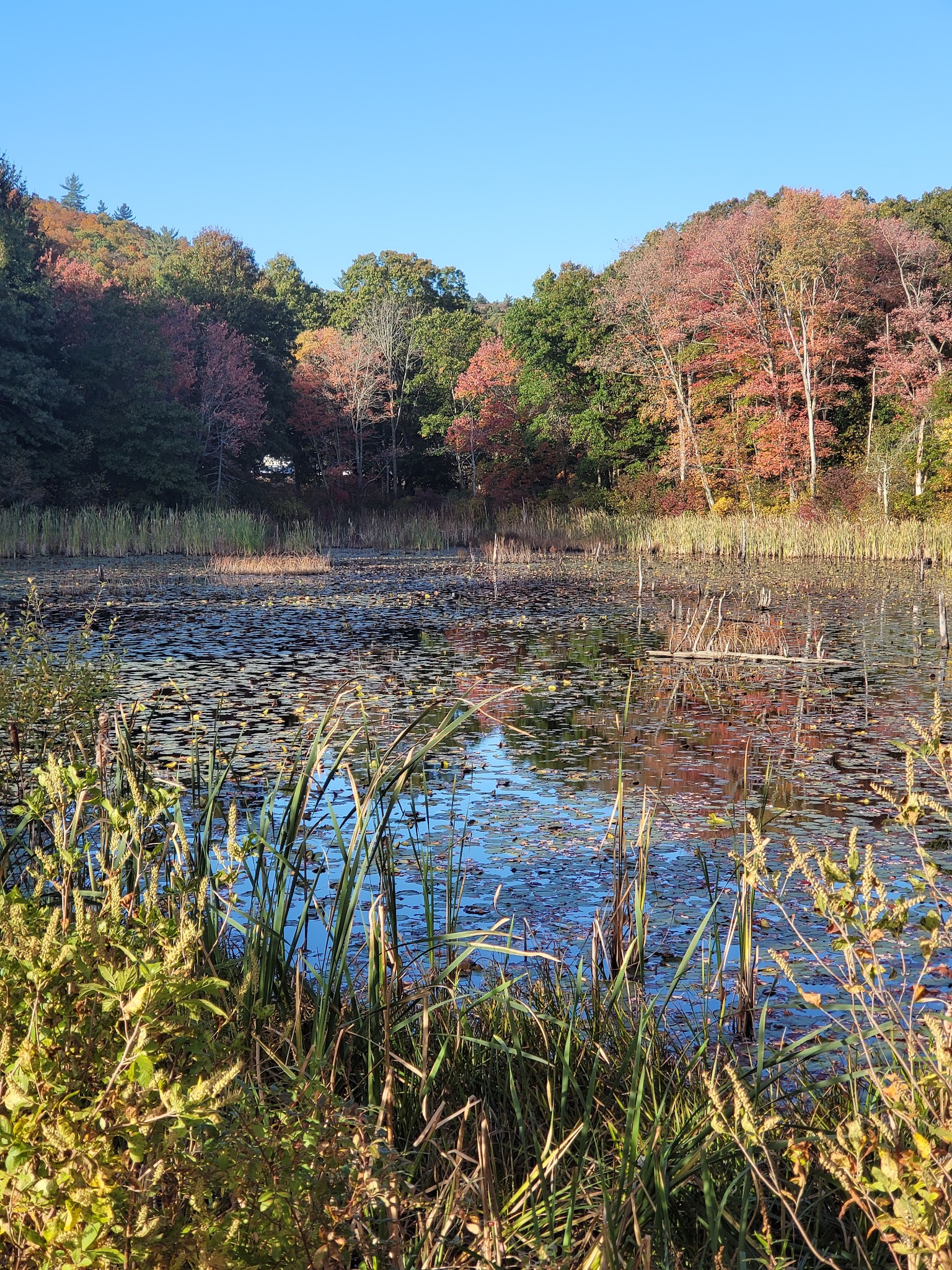 Houghton&Apos;S Pond Recreation Area