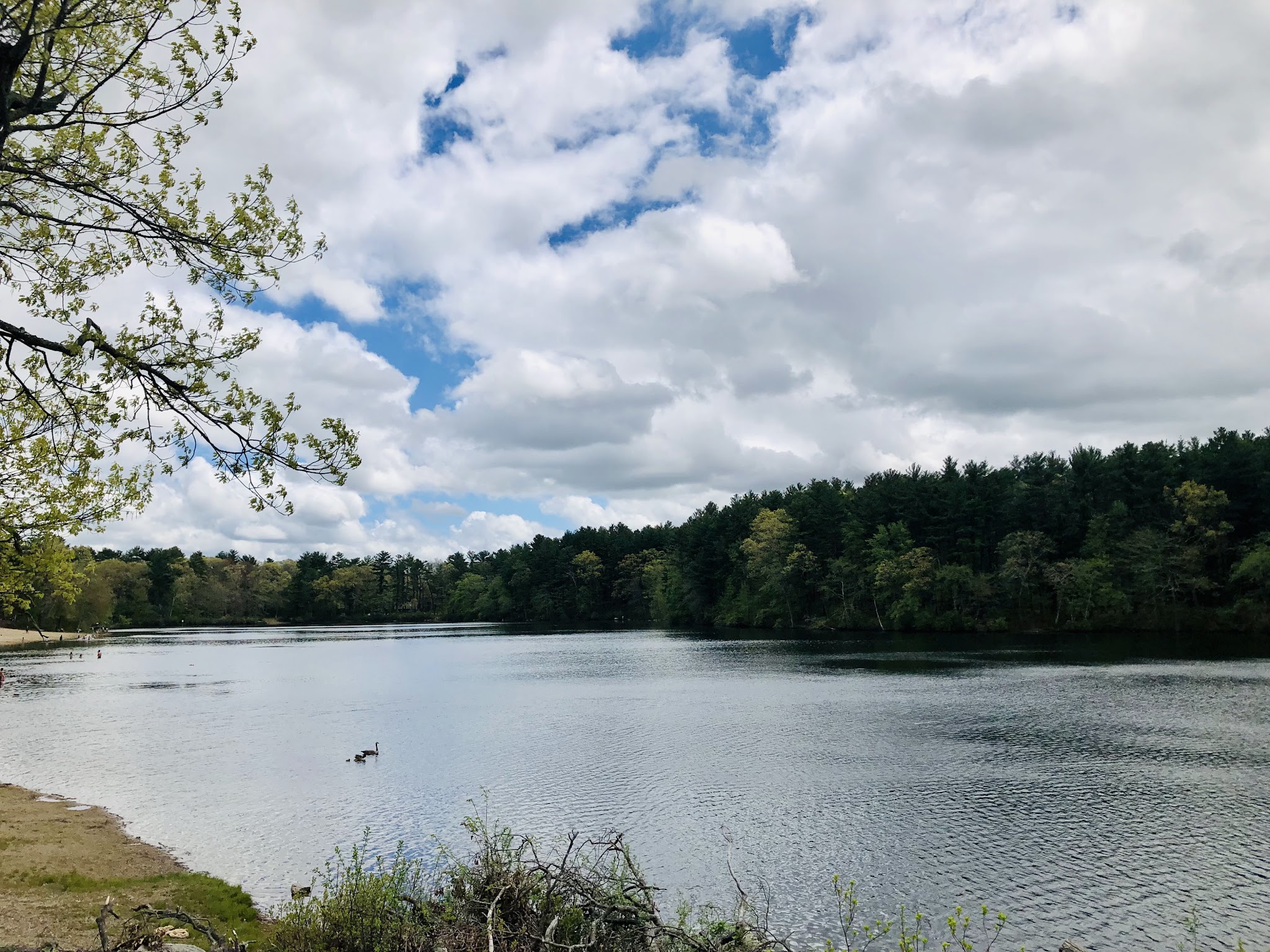 Houghton&Apos;S Pond Recreation Area