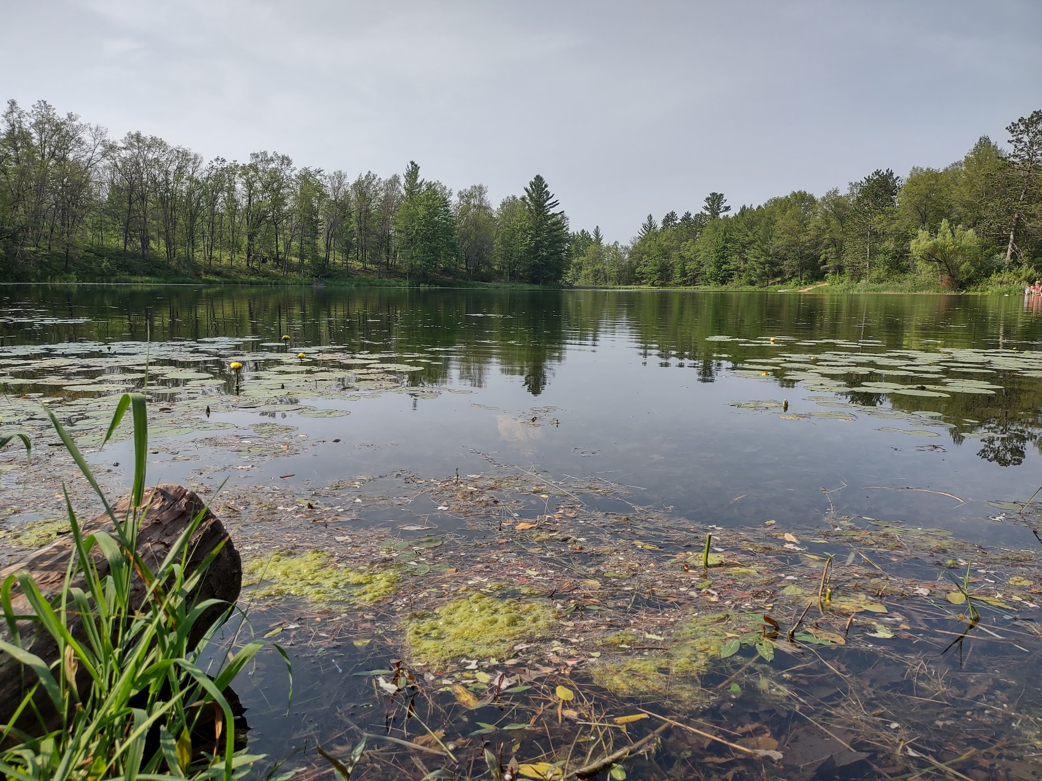 House Lake State Forest Campground