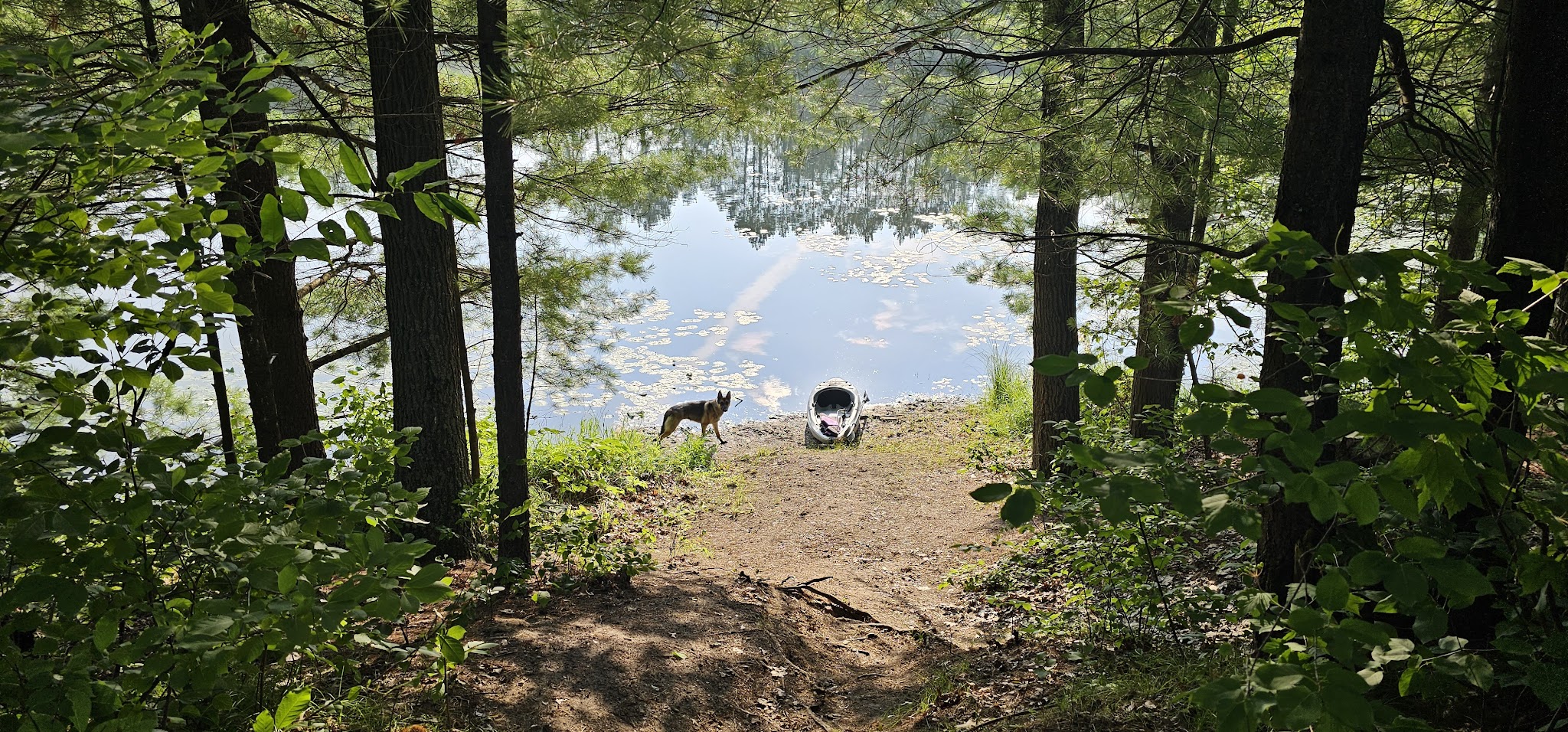 House Lake State Forest Campground