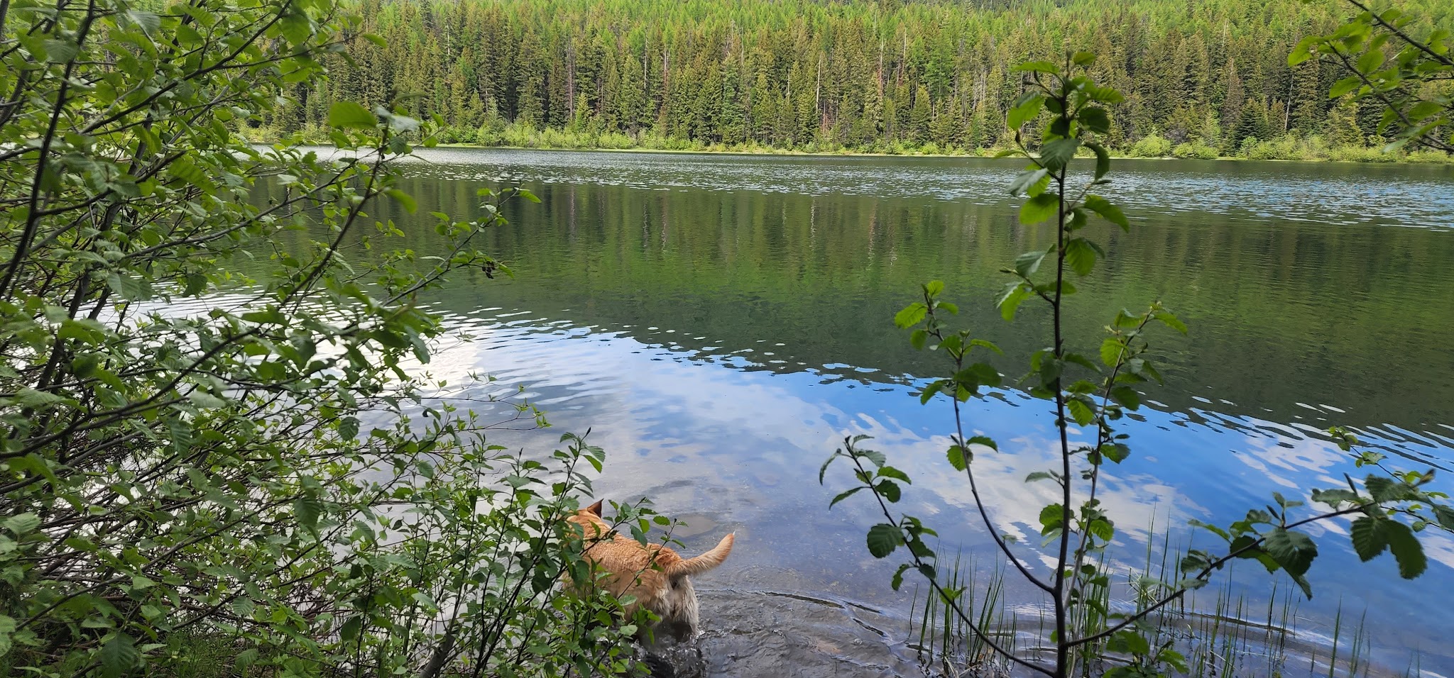 Howard Lake Campground