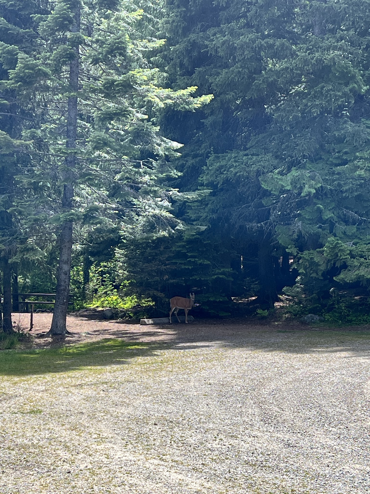 Howard Lake Campground