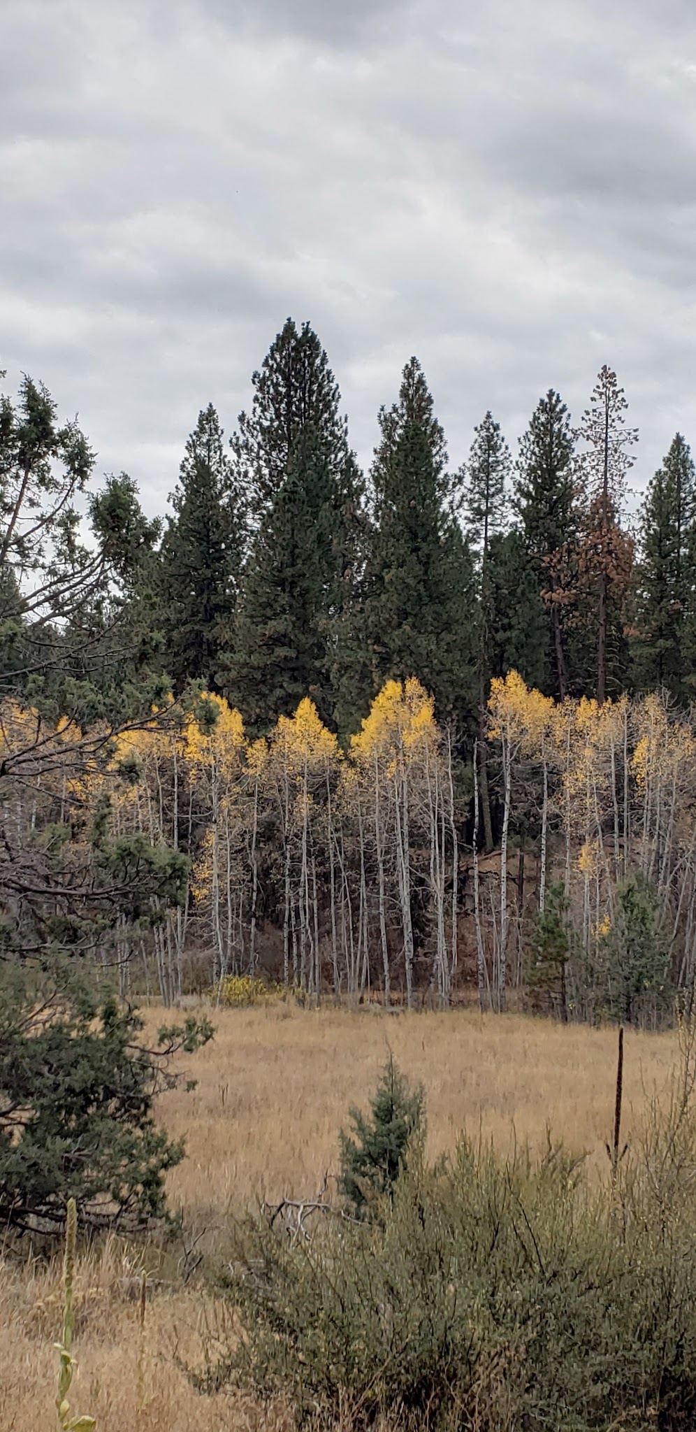 Howard'S Gulch Campground