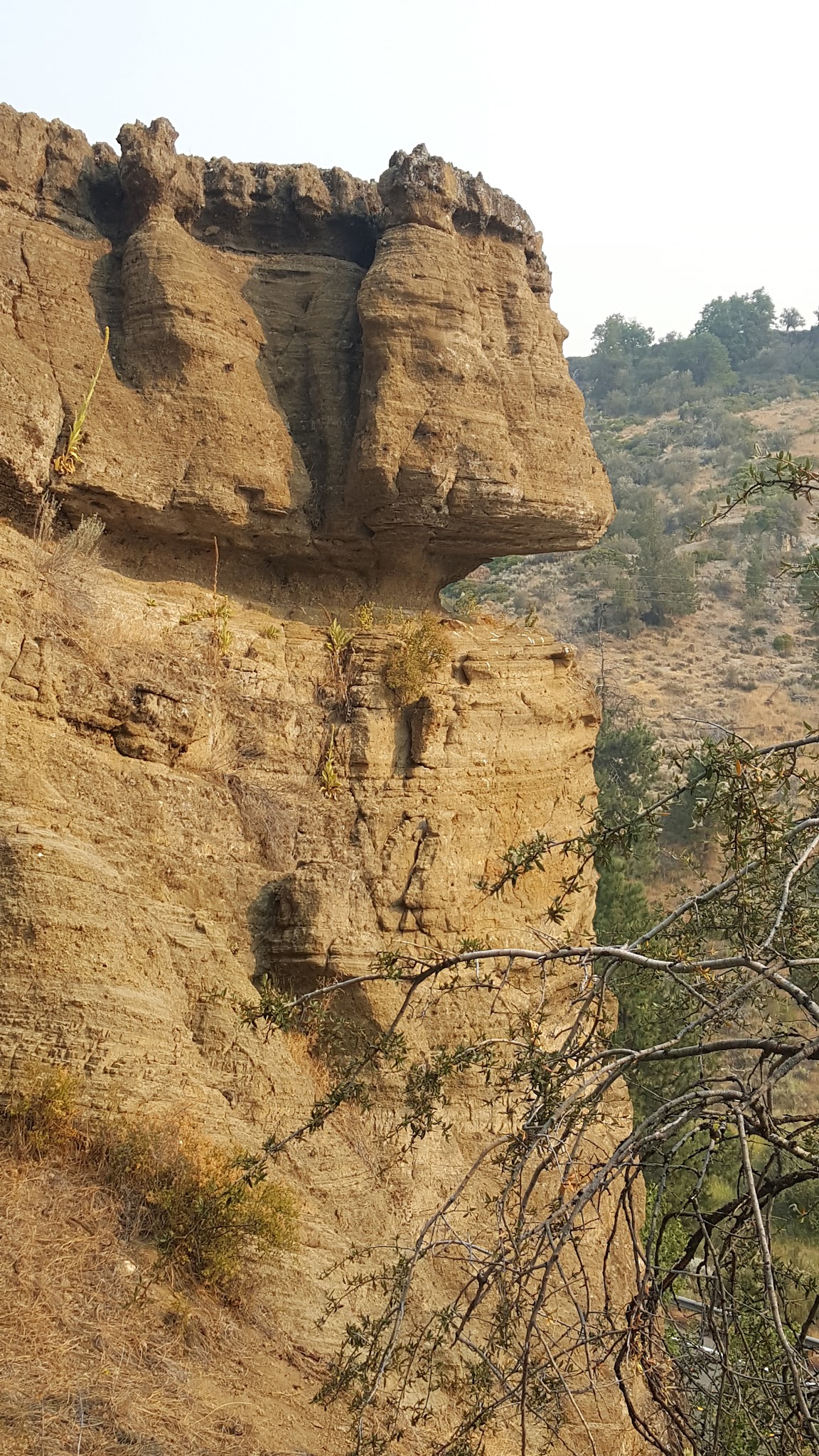 Howard'S Gulch Campground