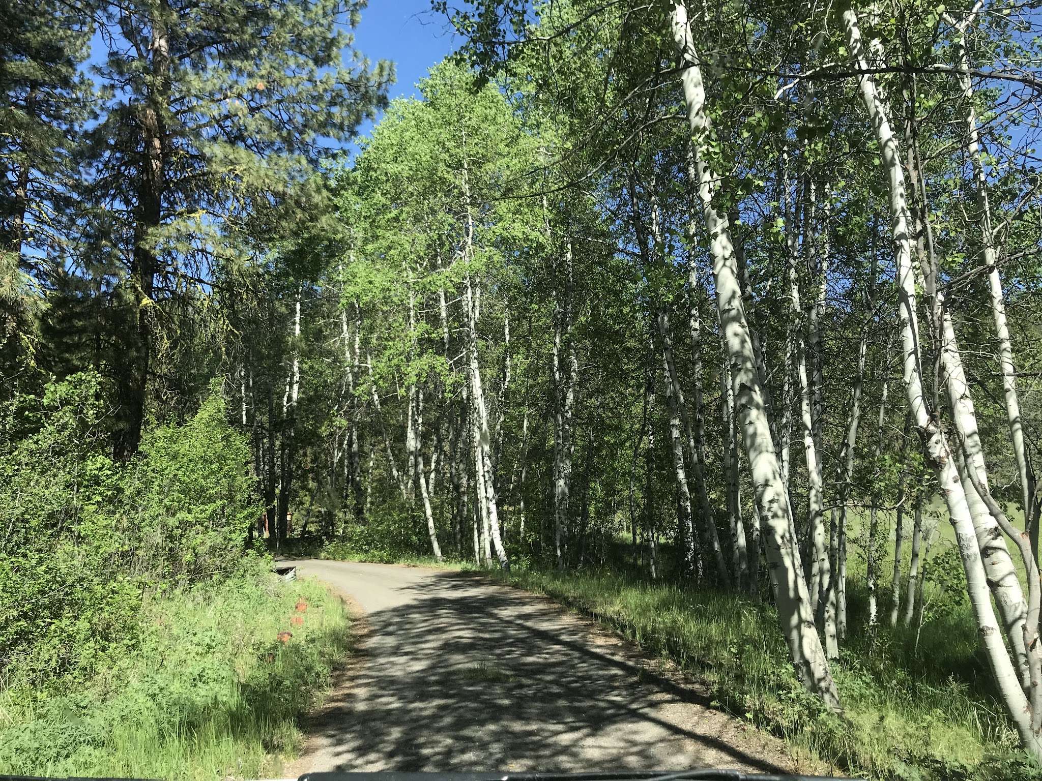 Howard'S Gulch Campground