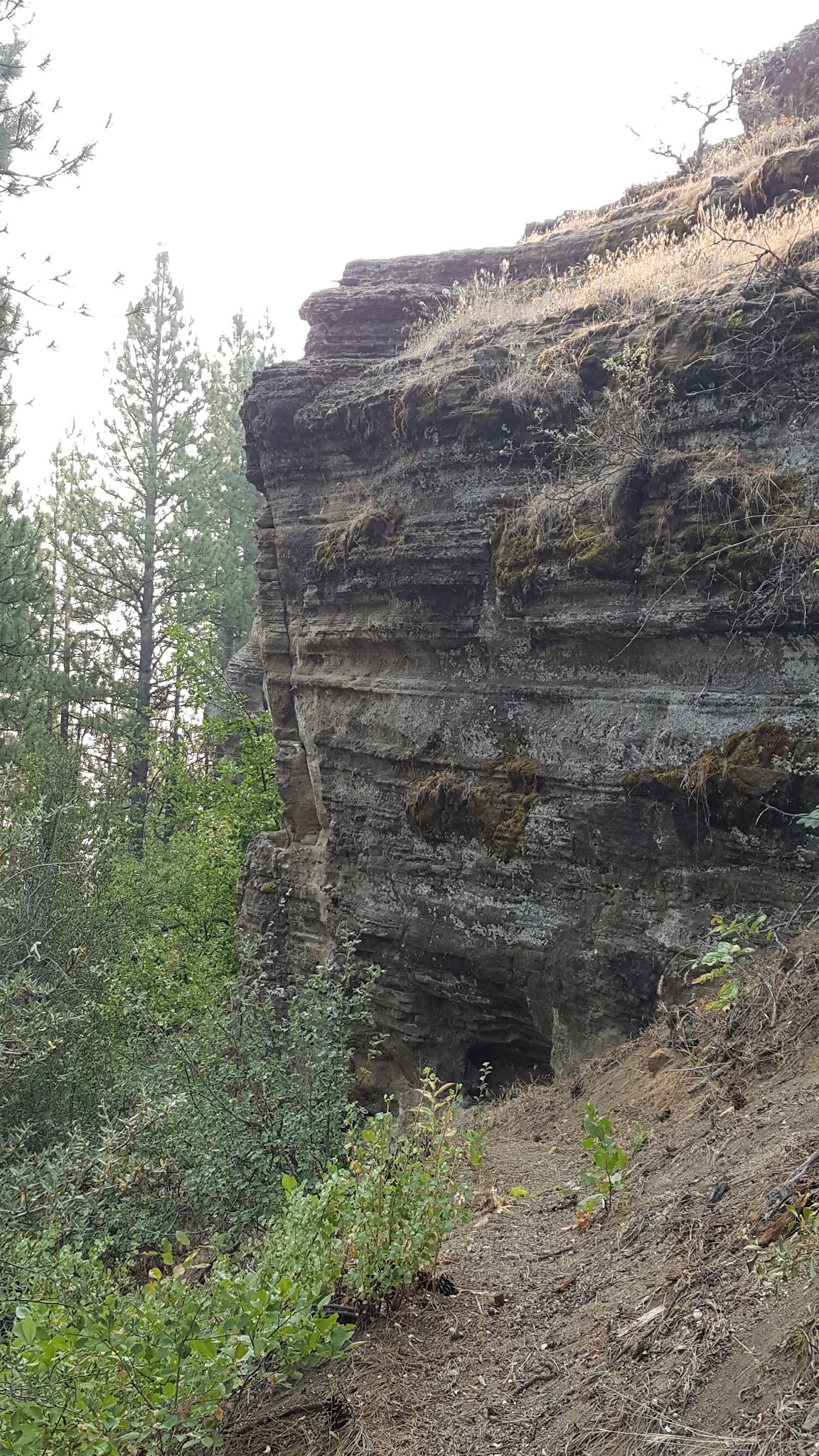 Howard'S Gulch Campground