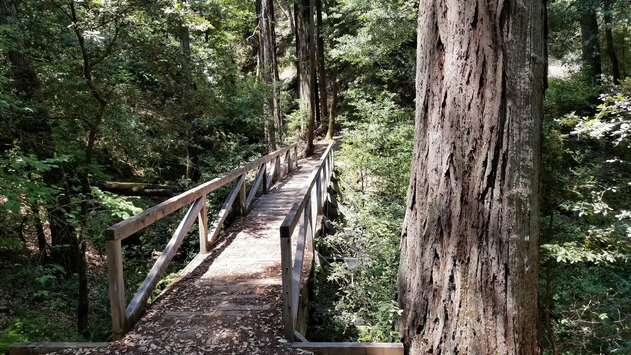 Huckleberry Campground