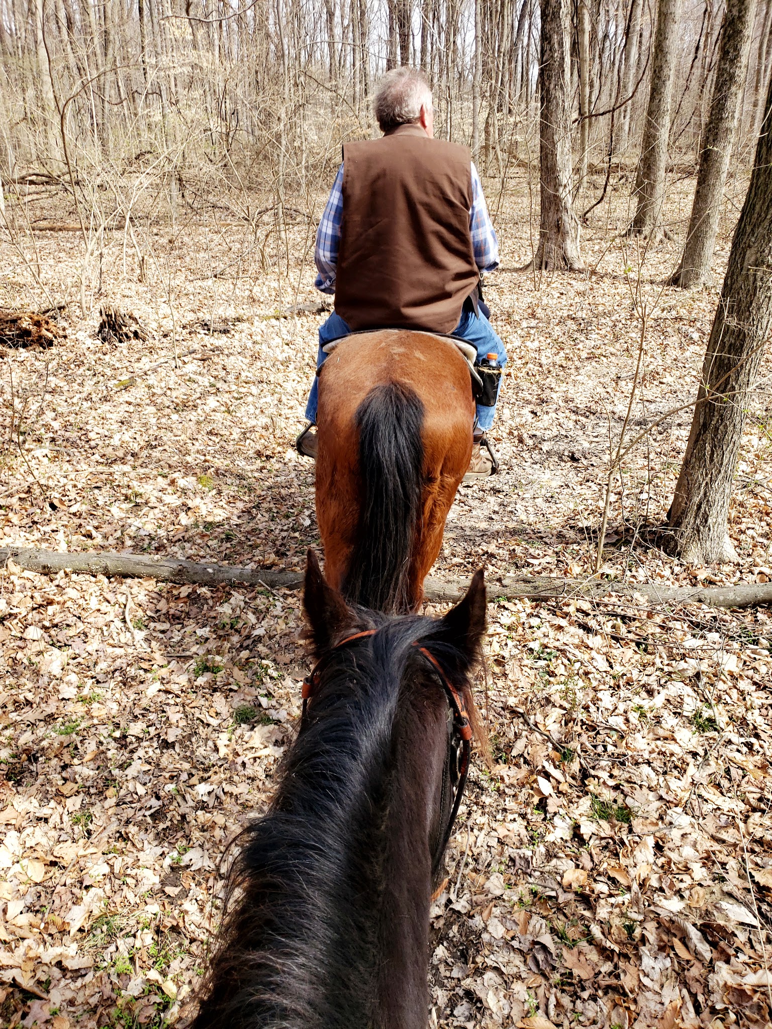 Hueston Woods Equestrian Campground