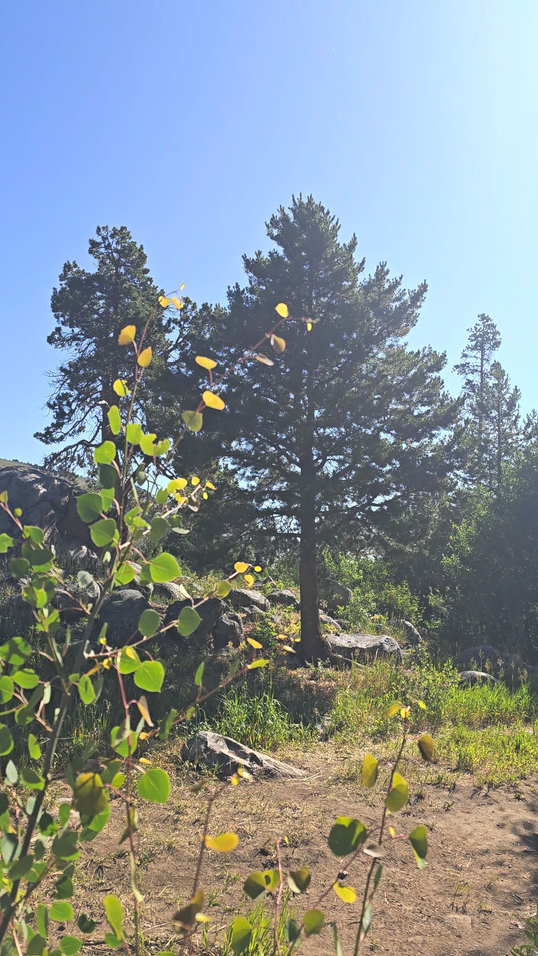 Hugh Otte Campground