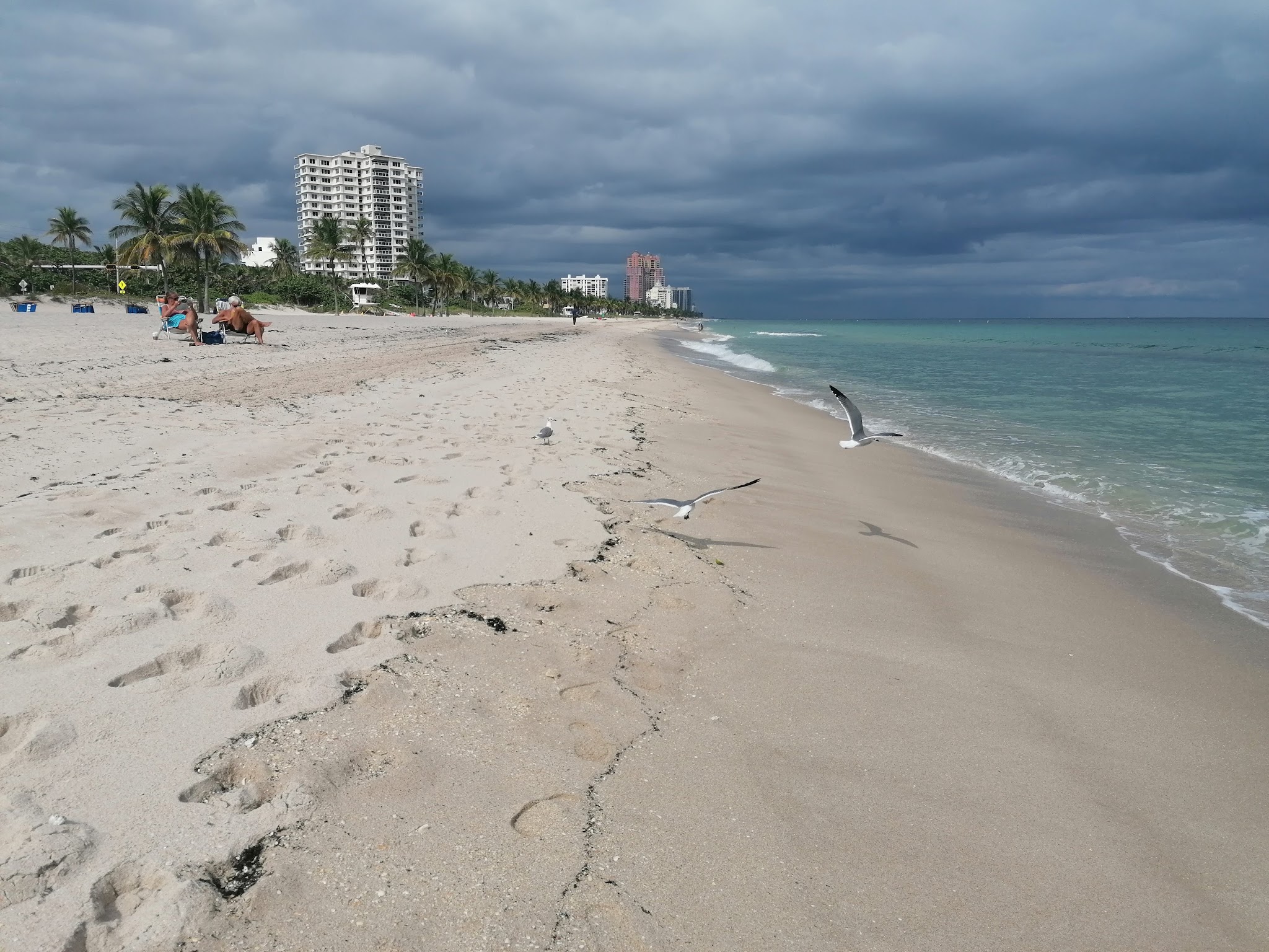 Hugh Taylor Birch State Park Campground