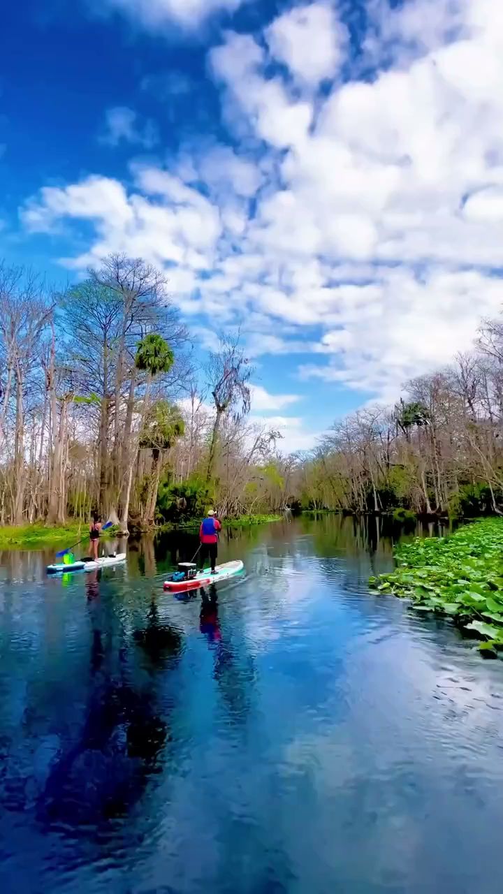 Hugh Taylor Birch State Park Campground